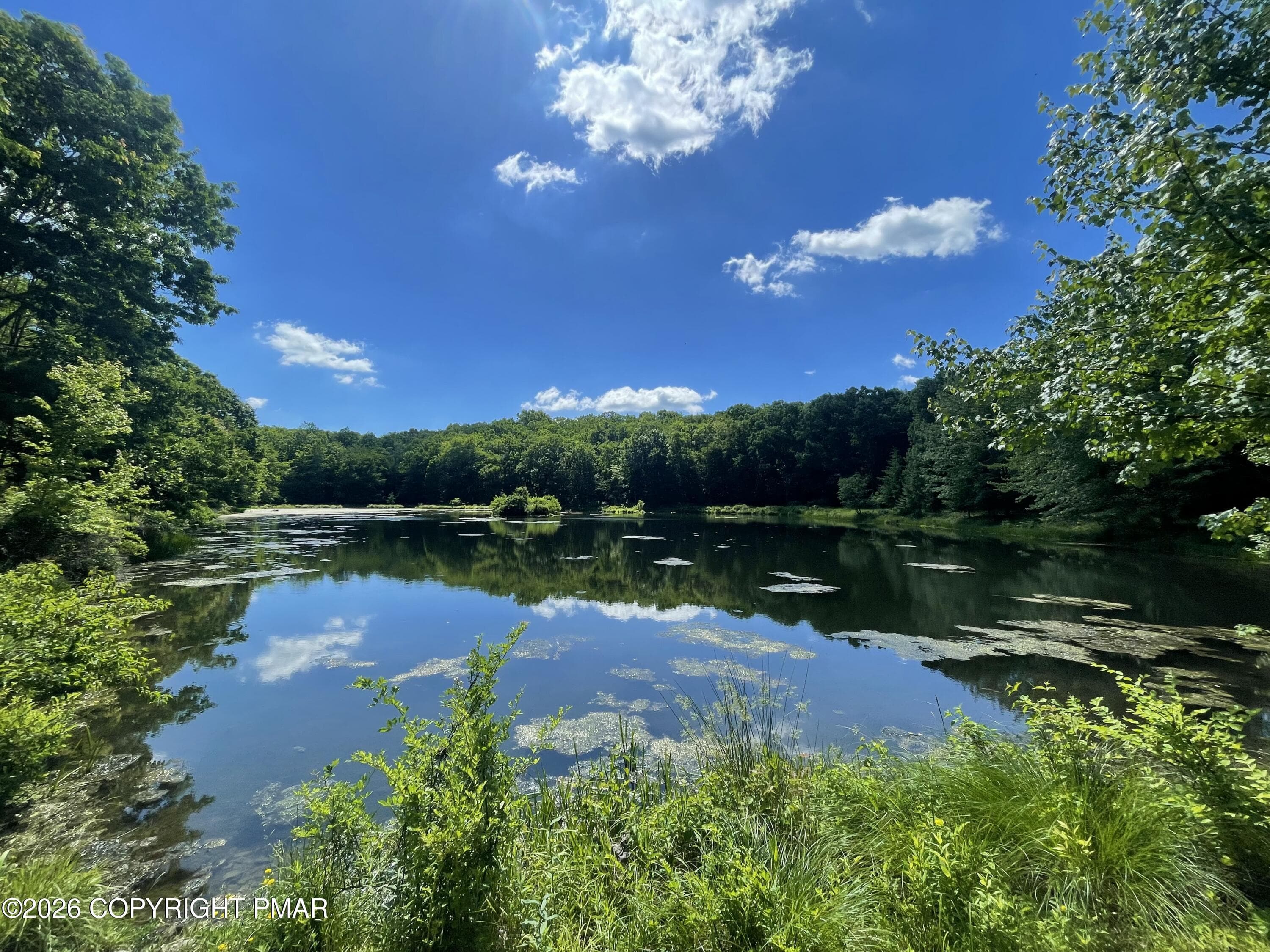 Beaver pond - 117 Woods Way, Cresco, PA 18326, Cresco