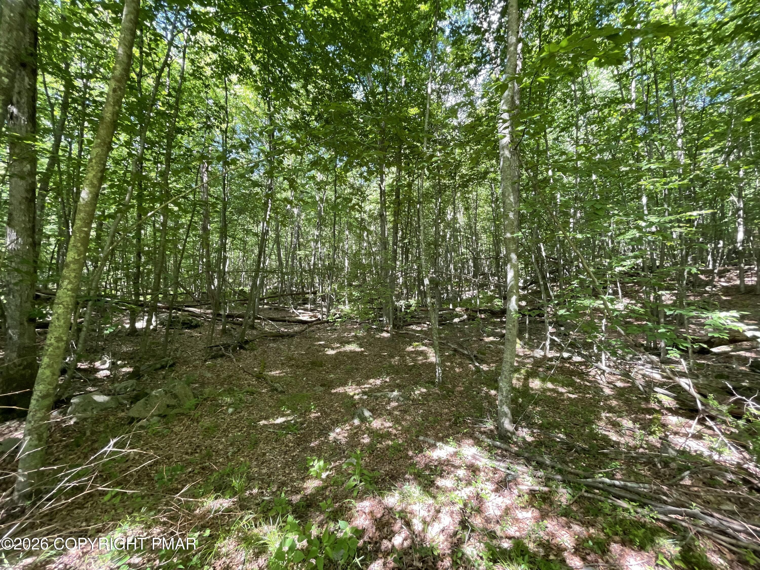 Woods - 117 Woods Way, Cresco, PA 18326, Cresco