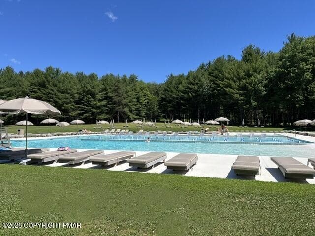 Pool - 151 Skytop Road, Pocono Pines, PA 18350, Pocono Pines