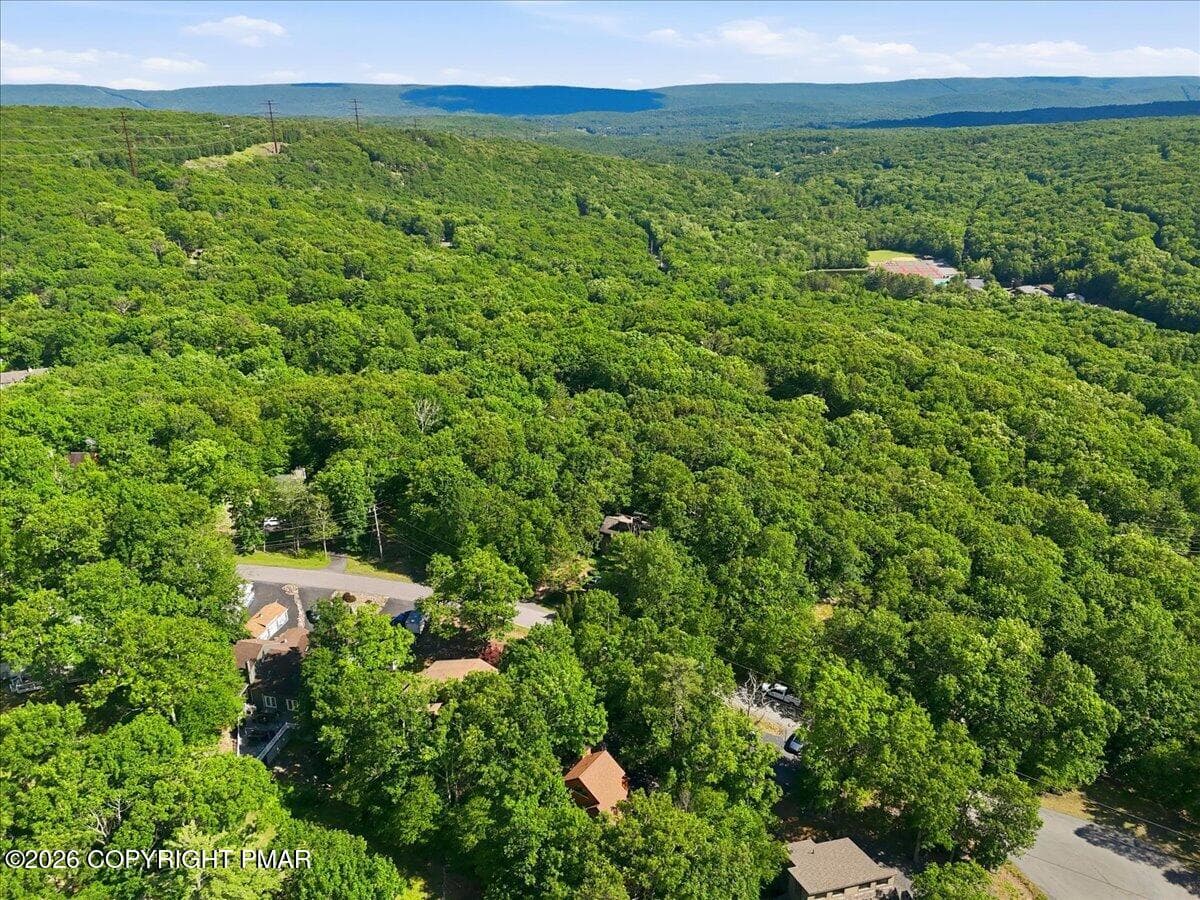 Aerial Neighborhood View - 184 Cambridge Court, Bushkill, PA 18324, Bushkill