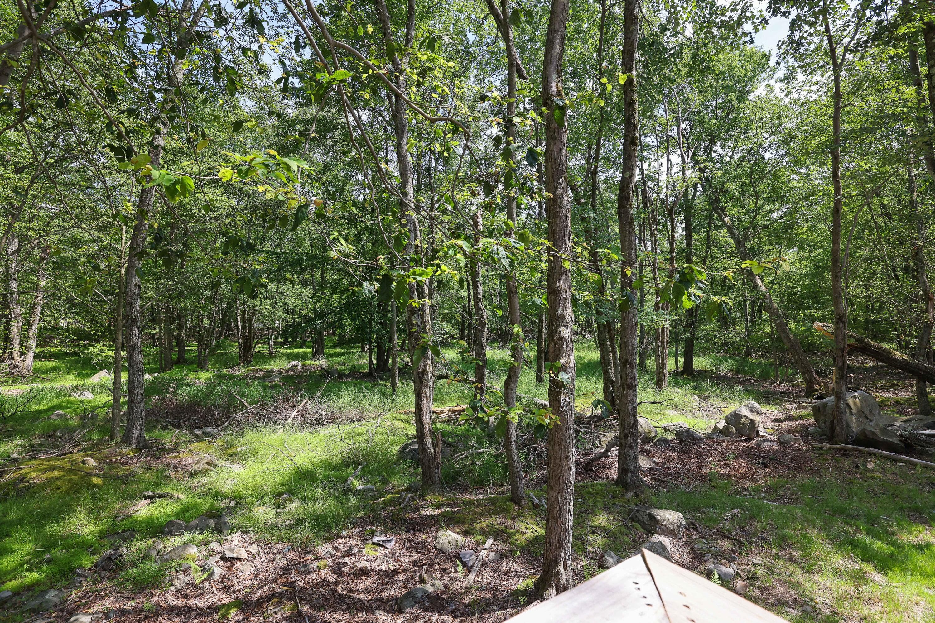 rb30 - 7042 Vista Drive, Tobyhanna, PA 18466, Tobyhanna