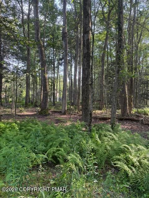 Sweet Briar - 15/16 Sweet Briar Road, Pocono Pines, PA 18350, Pocono Pines