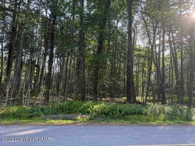 Sweet Briar - 15/16 Sweet Briar Road, Pocono Pines, PA 18350, Pocono Pines