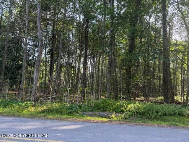 Sweet Briar - 15/16 Sweet Briar Road, Pocono Pines, PA 18350, Pocono Pines