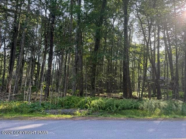 Sweet Briar - 15/16 Sweet Briar Road, Pocono Pines, PA 18350, Pocono Pines