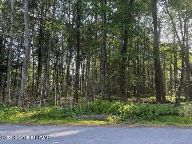 IMG_9927 - 15/16 Sweet Briar Road, Pocono Pines, PA 18350, Pocono Pines