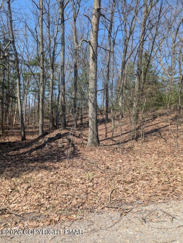 9 Hollow Dr 9 Drive, Stroudsburg, PA 18360