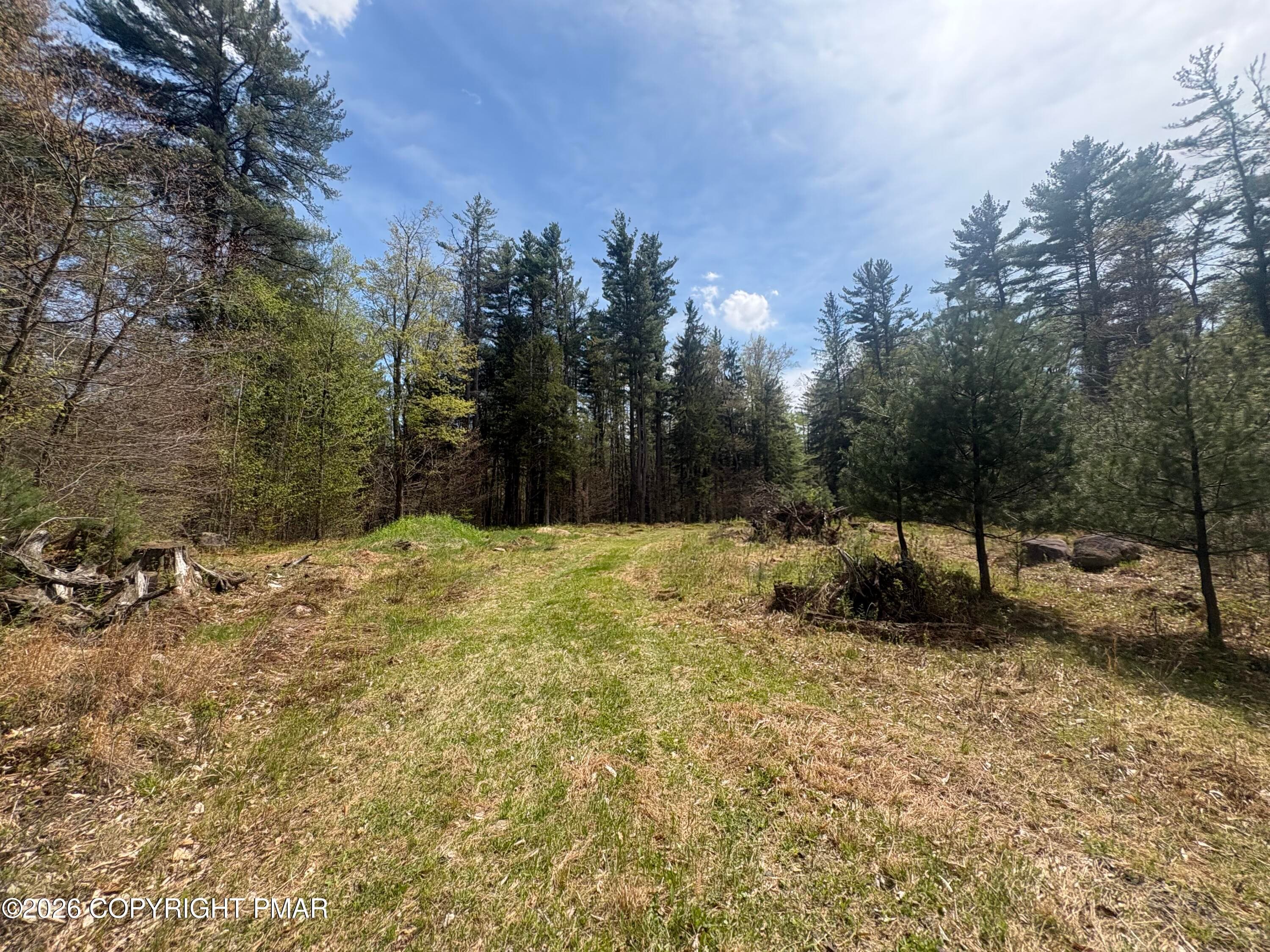 IMG_1413 - 44 Kimberly Lane, Thornhurst, PA 18424, Thornhurst