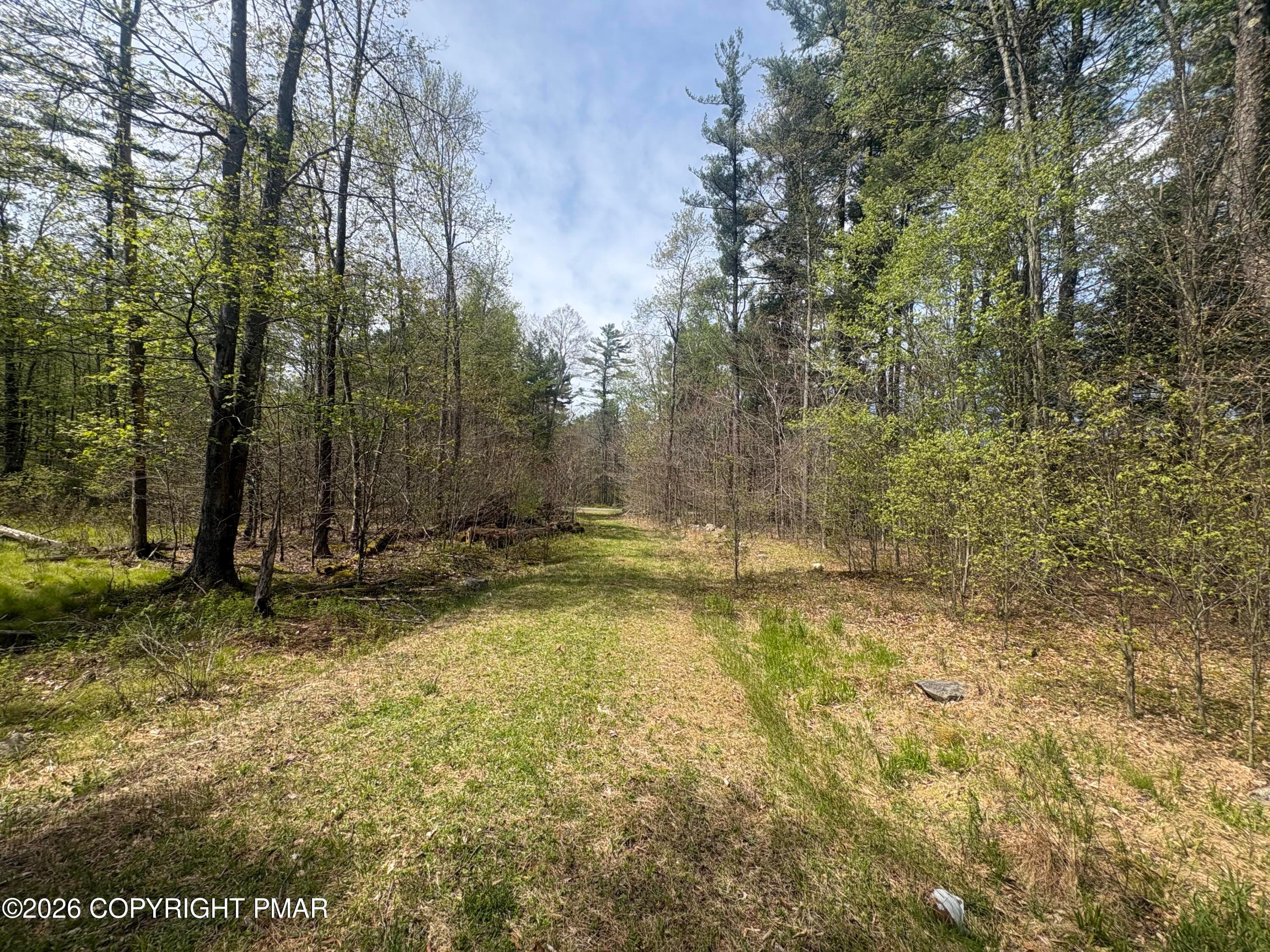 IMG_1419 - 44 Kimberly Lane, Thornhurst, PA 18424, Thornhurst