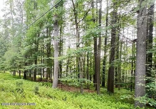 20250919173047435324000000-o - Lot 359 Tink Wig Drive, Hawley, PA 18428, Hawley
