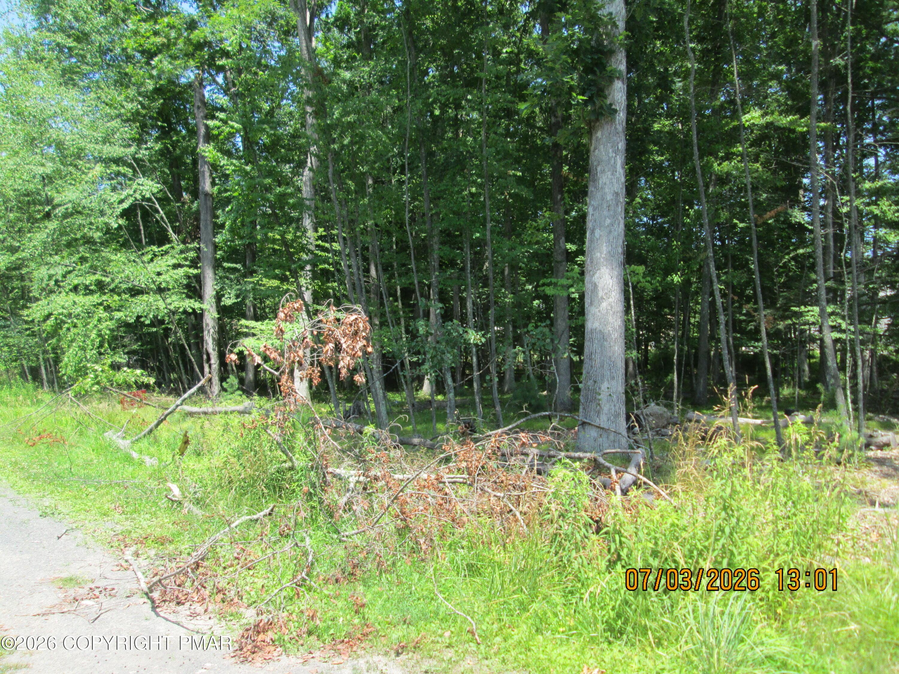 IMG_0312[1] - White Oak Dr 8, Tannersville, PA 18372, Tannersville