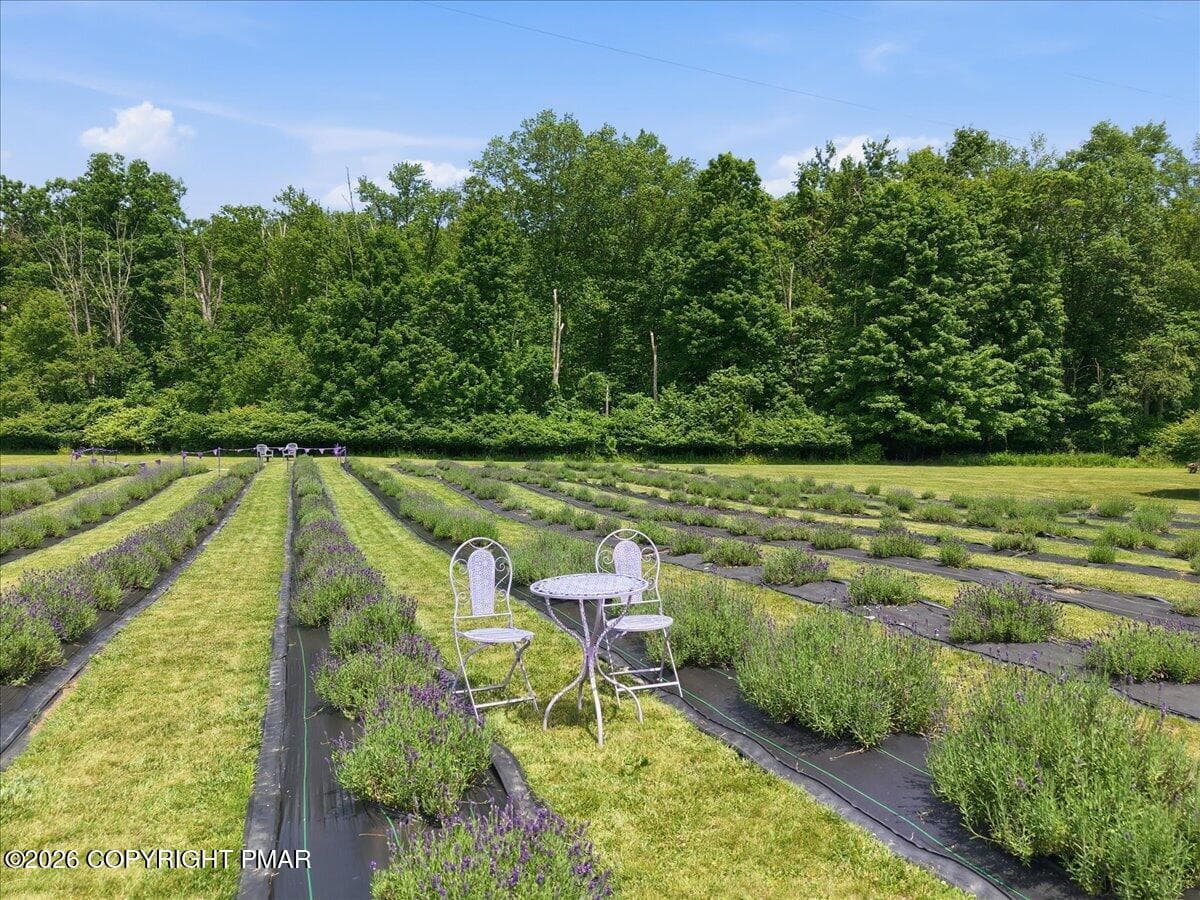 039-079_dji_fly_20260629_135420_0471_178 - 5822 Paradise Valley Road, Cresco, PA 18326, Cresco