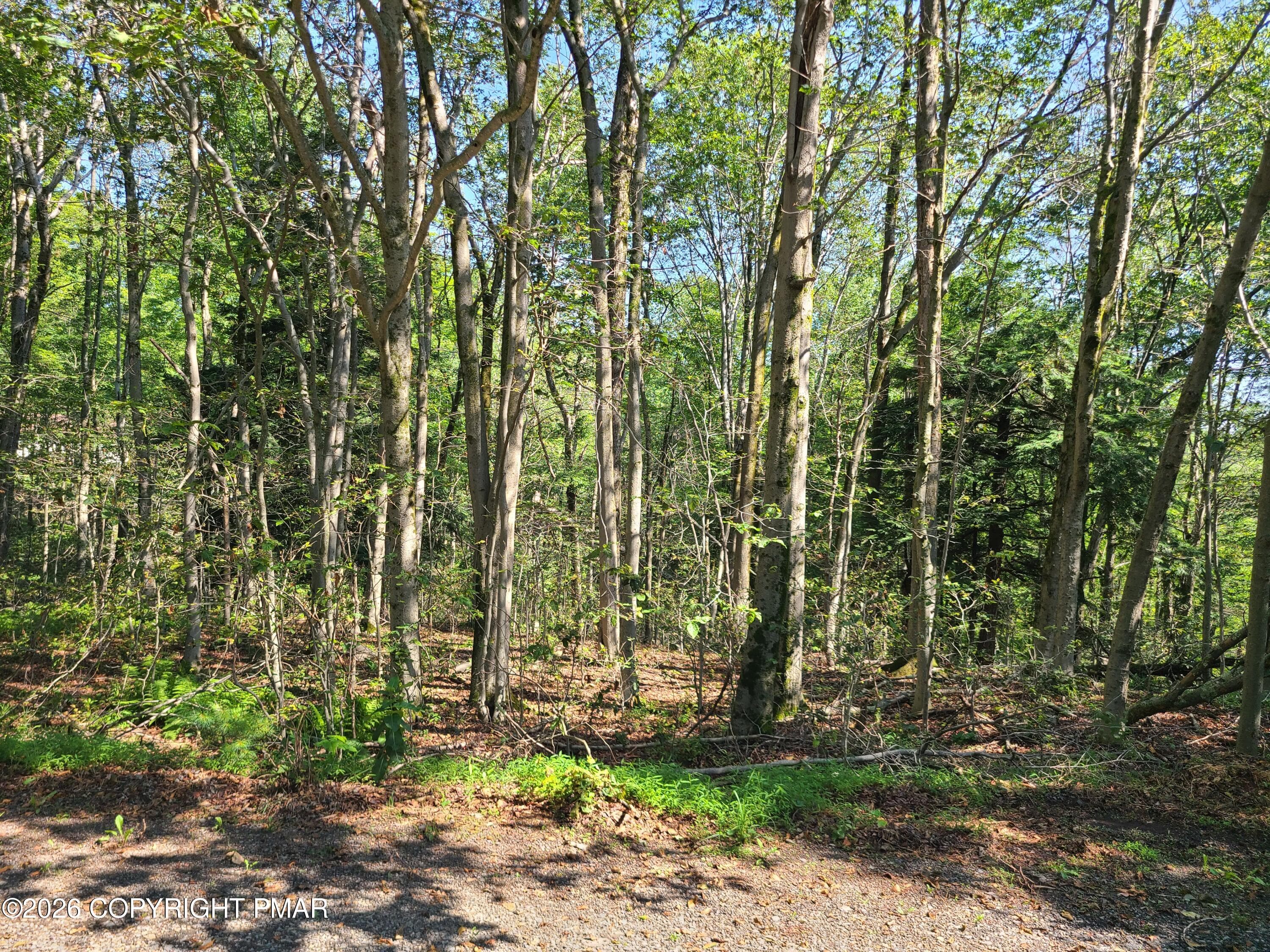 Lot 23R - Lot 23R Lakewood Court, Canadensis, PA 18325, Canadensis