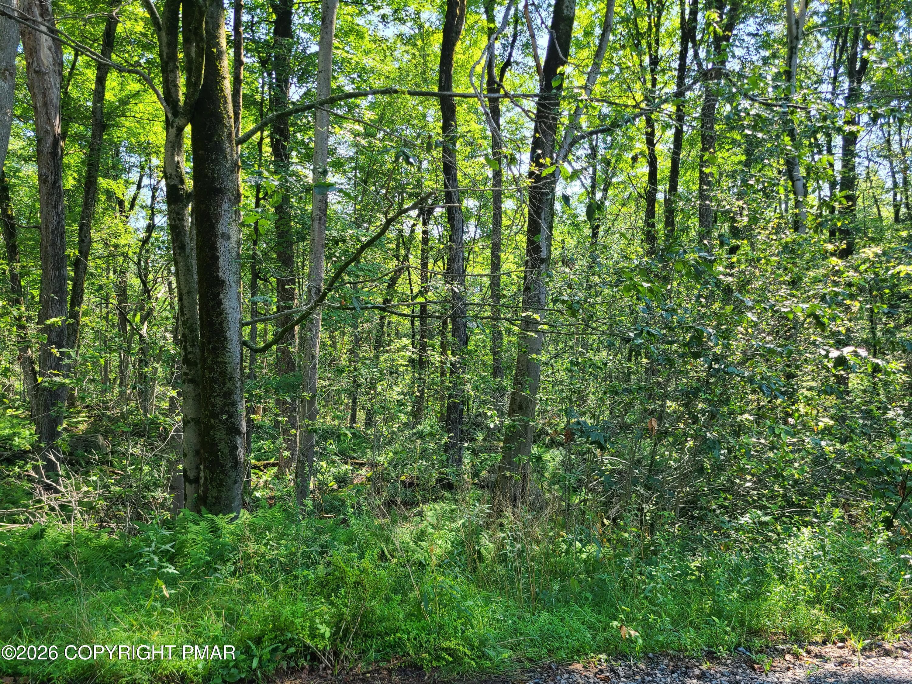 Lot 23R - Lot 23R Lakewood Court, Canadensis, PA 18325, Canadensis