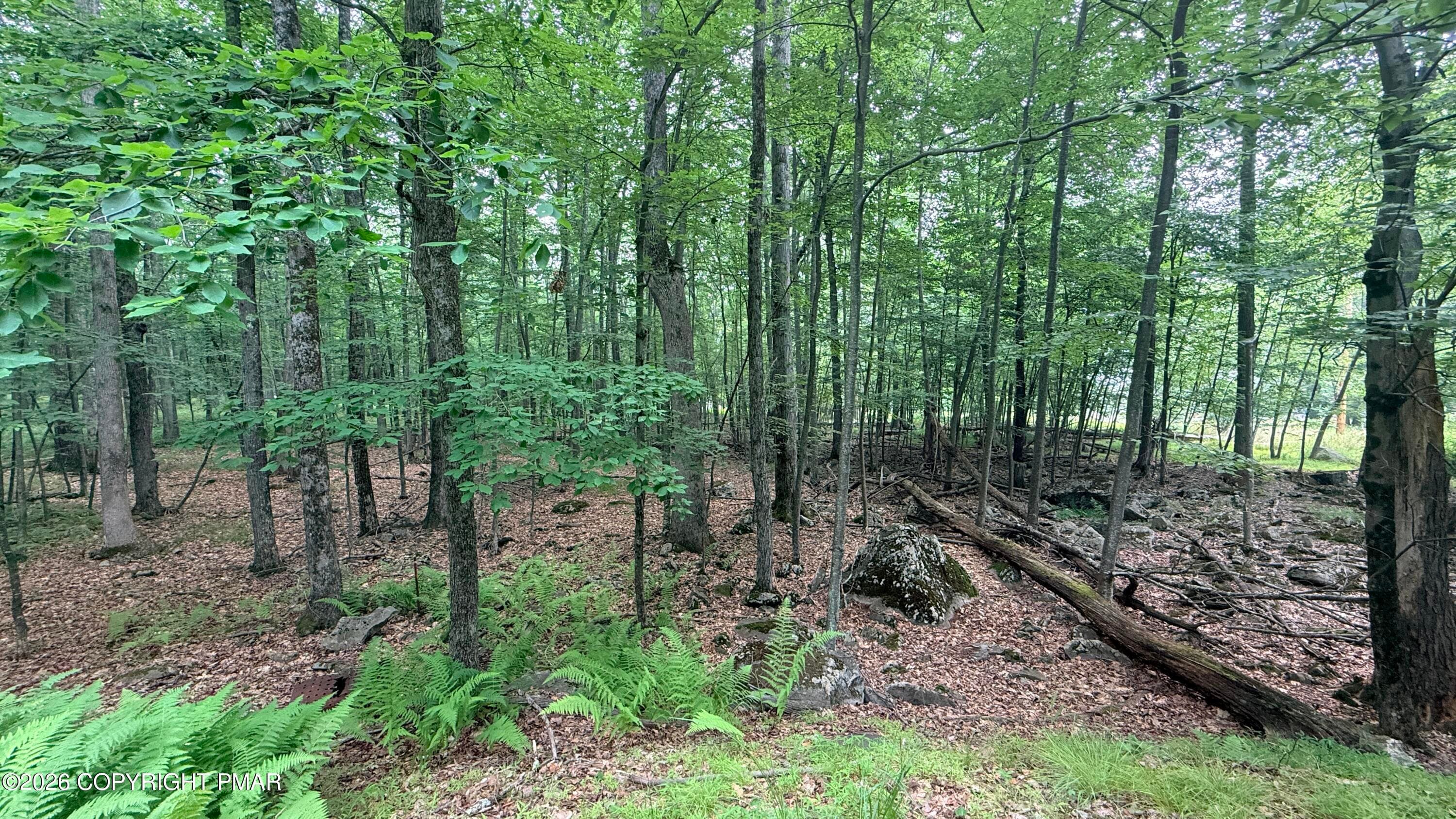 Wooded Lot Area - 111 Lake View Circle, Hawley, PA 18428, Hawley