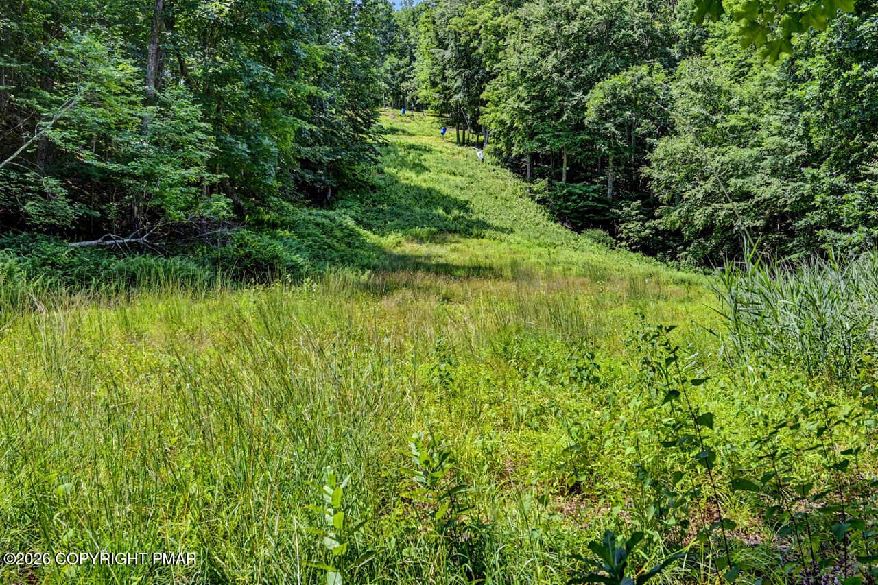 614MasthopePlankRd110-jpeg - 614 Masthope Plank Road, Lackawaxen, PA 18435