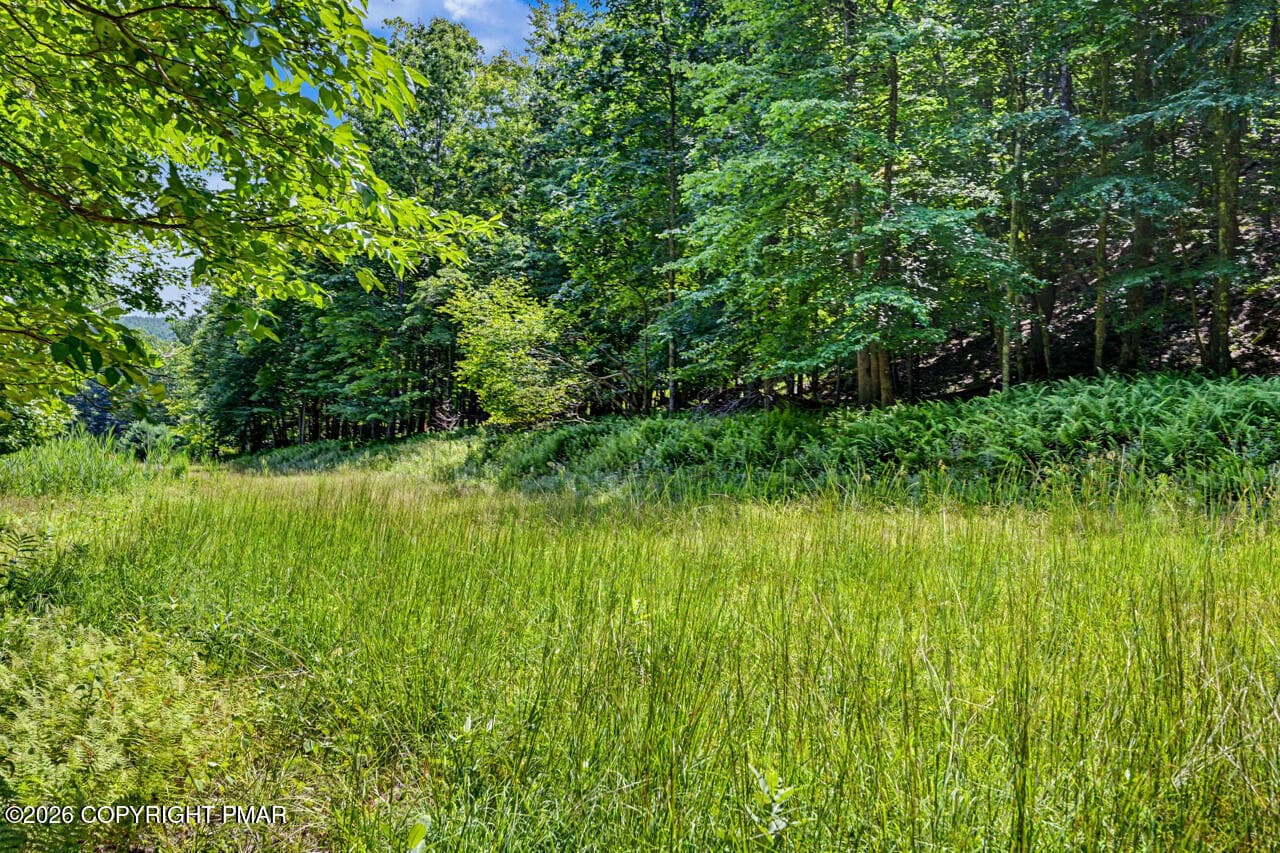 614MasthopePlankRd111-jpeg - 614 Masthope Plank Road, Lackawaxen, PA 18435