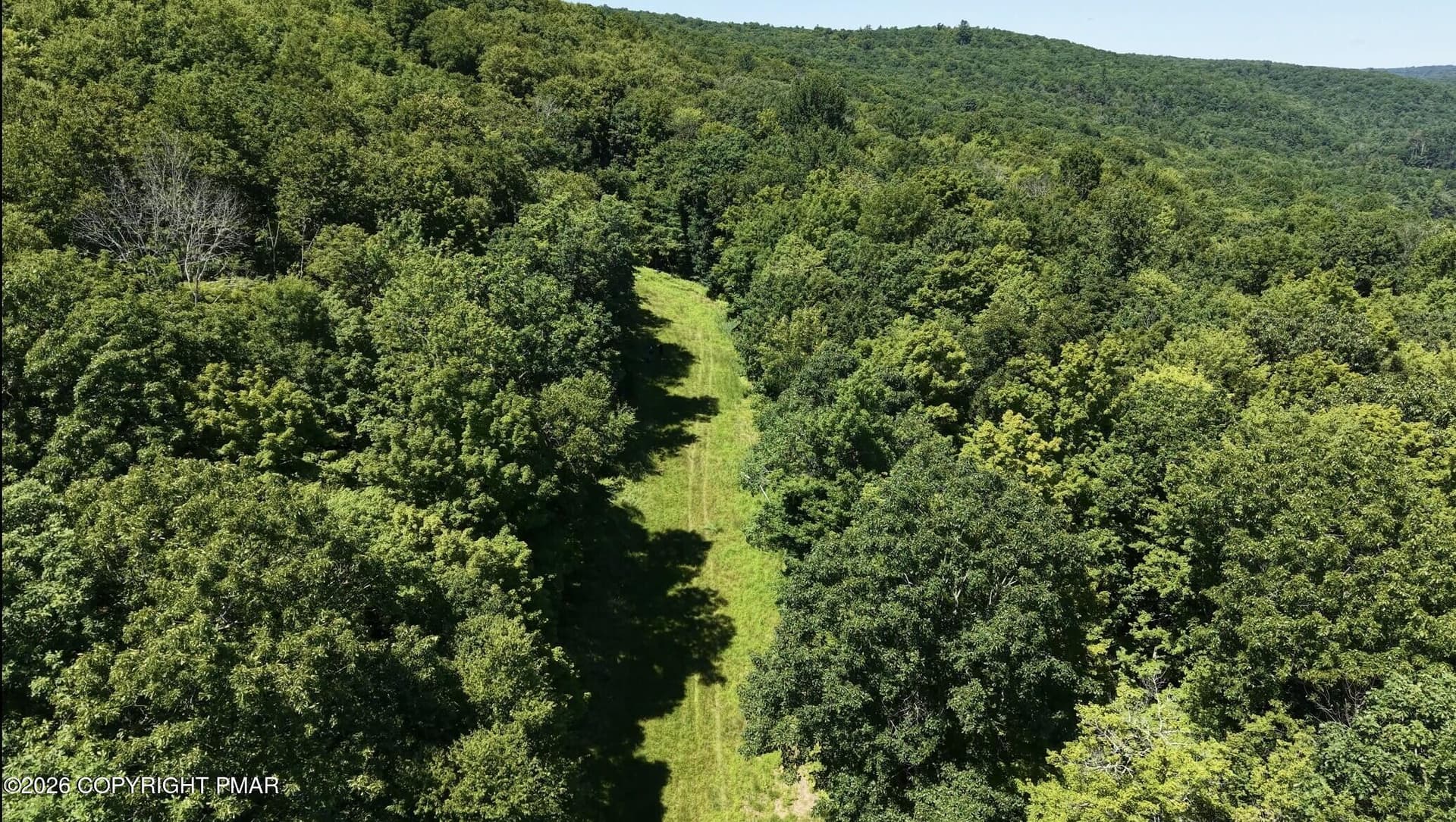 IMG_2775 - 614 Masthope Plank Road, Lackawaxen, PA 18435