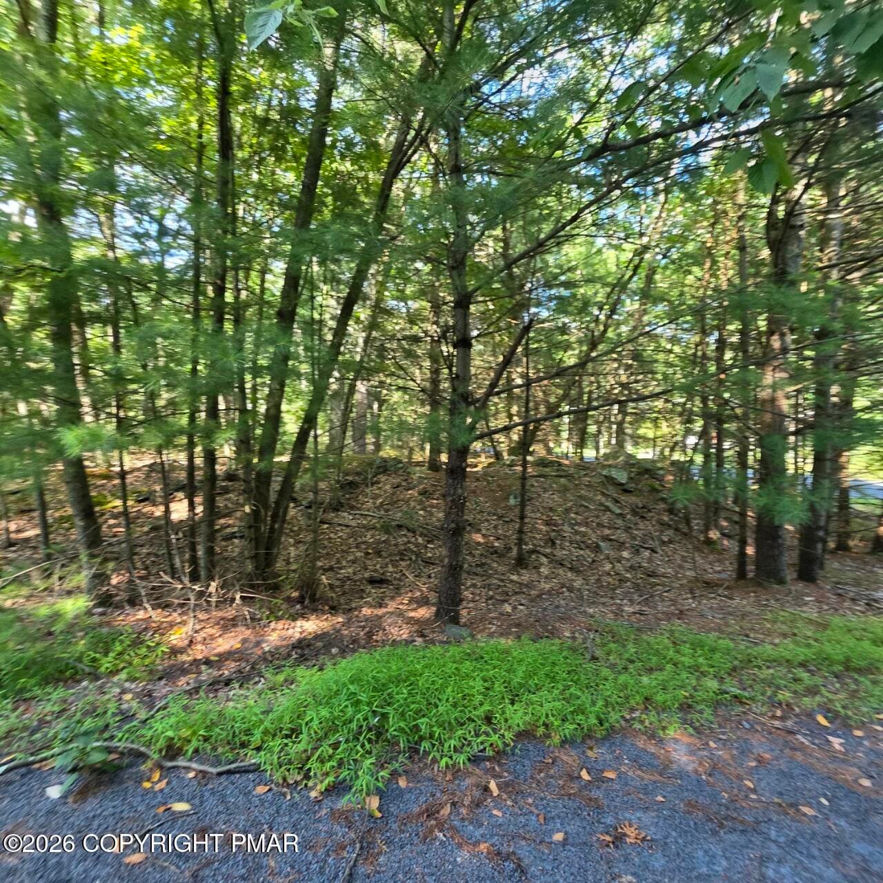 20260821_163124 - 179 Mountain Top Drive, Dingmans Ferry, PA 18328
