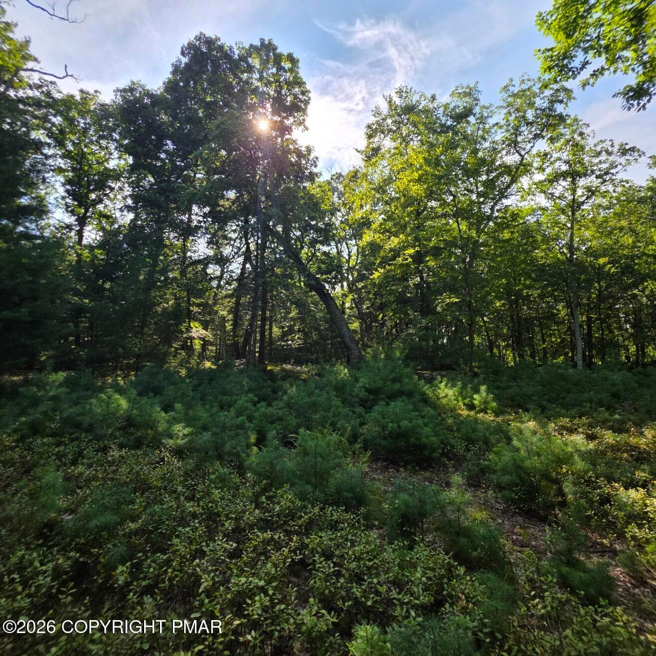 20260821_162117 - 179 Mountain Top Drive, Dingmans Ferry, PA 18328