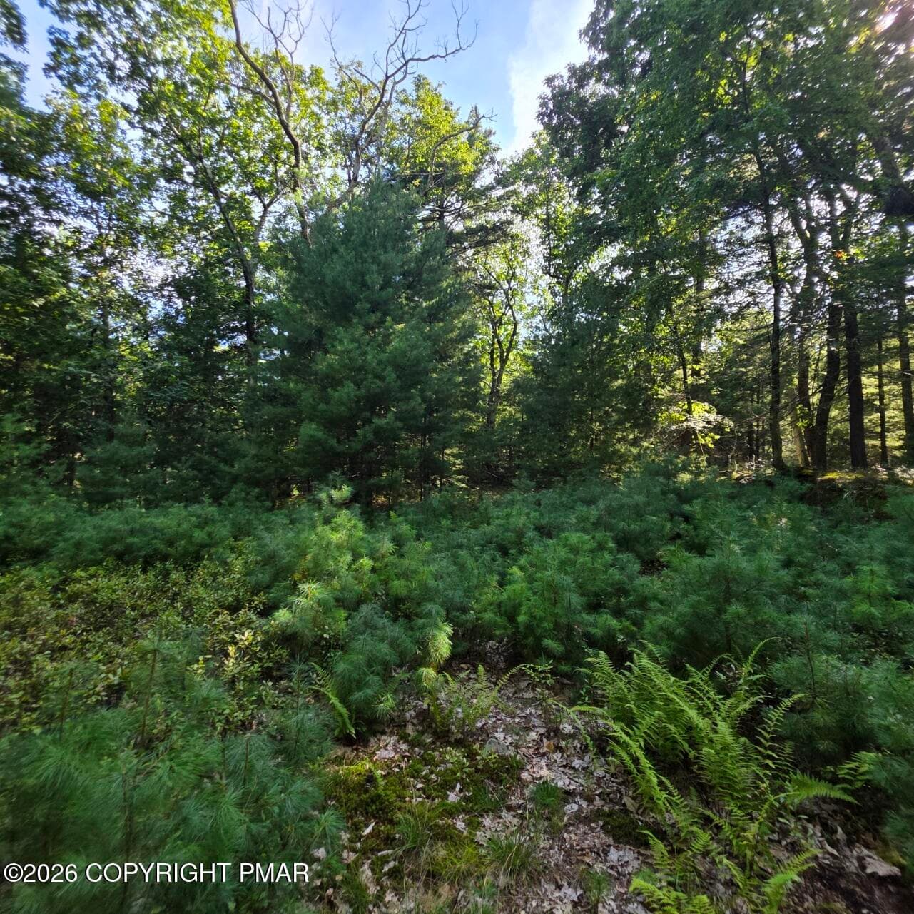 20260821_162145 - 179 Mountain Top Drive, Dingmans Ferry, PA 18328