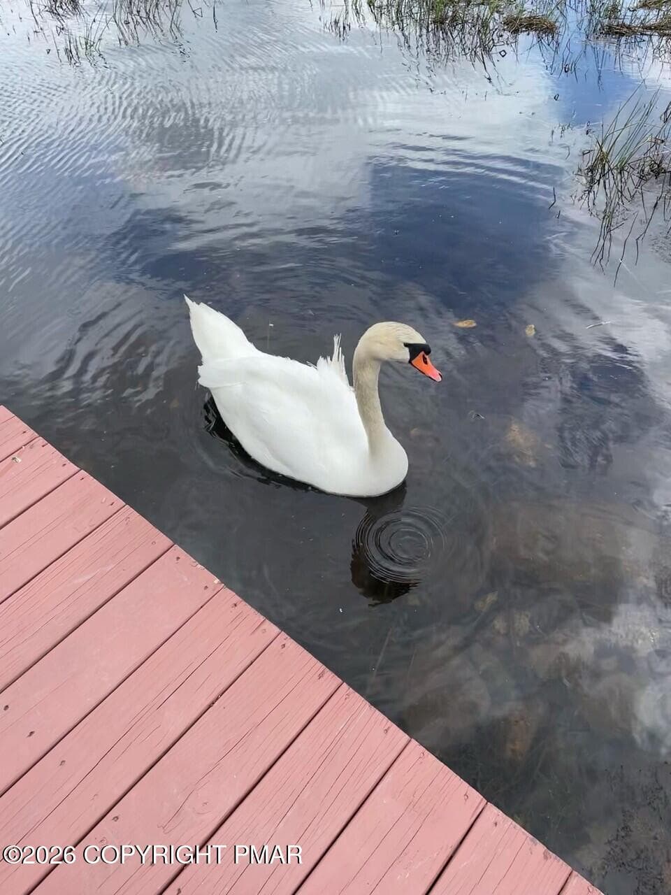 swan - 1255 Hawthorne Terrace, Pocono Summit, PA 18346, Pocono Summit