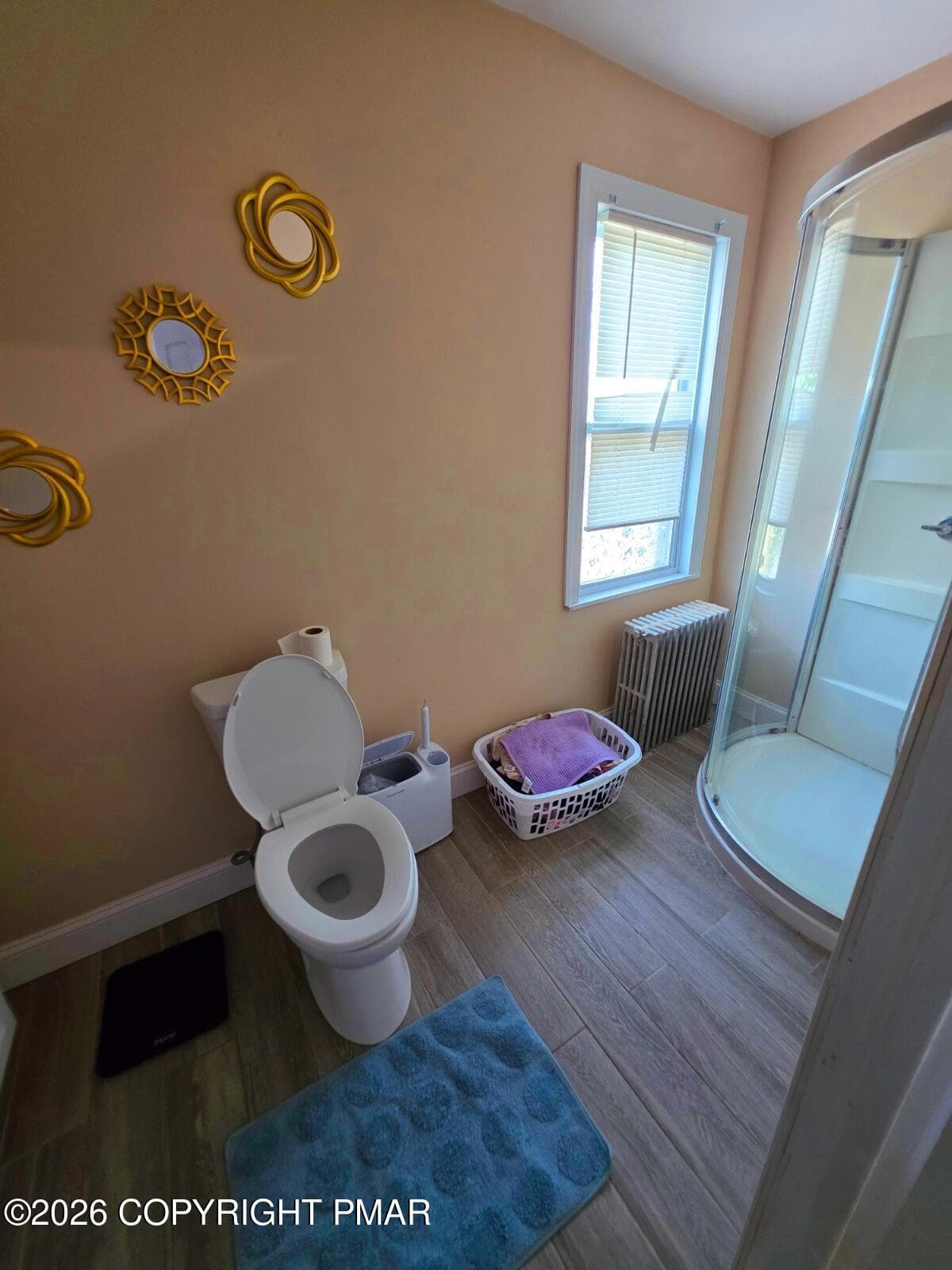 8cf49663-8234-4715-9a02-63a3498ed16d - 420 Park Street, Freeland, PA 18224, Freeland