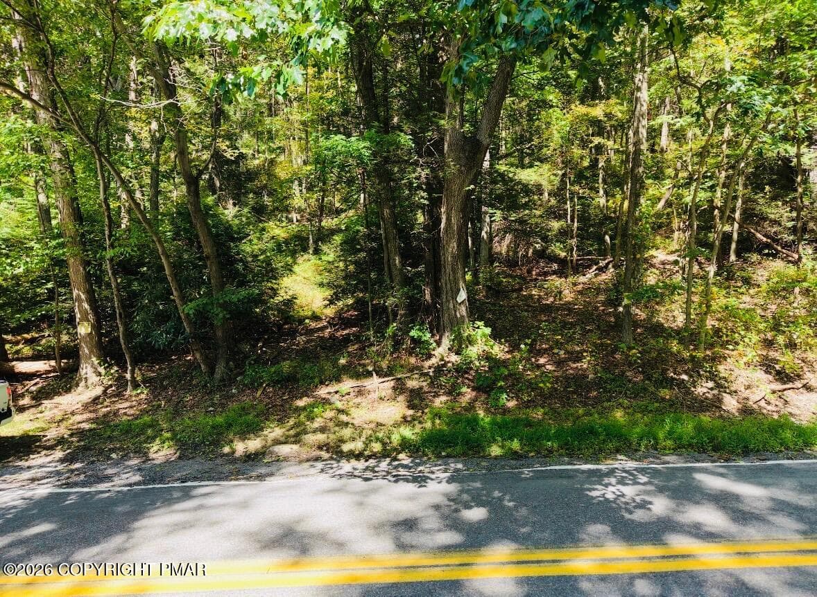 IMG_7259 - 123 Forest Drive, Kunkletown, PA 18058