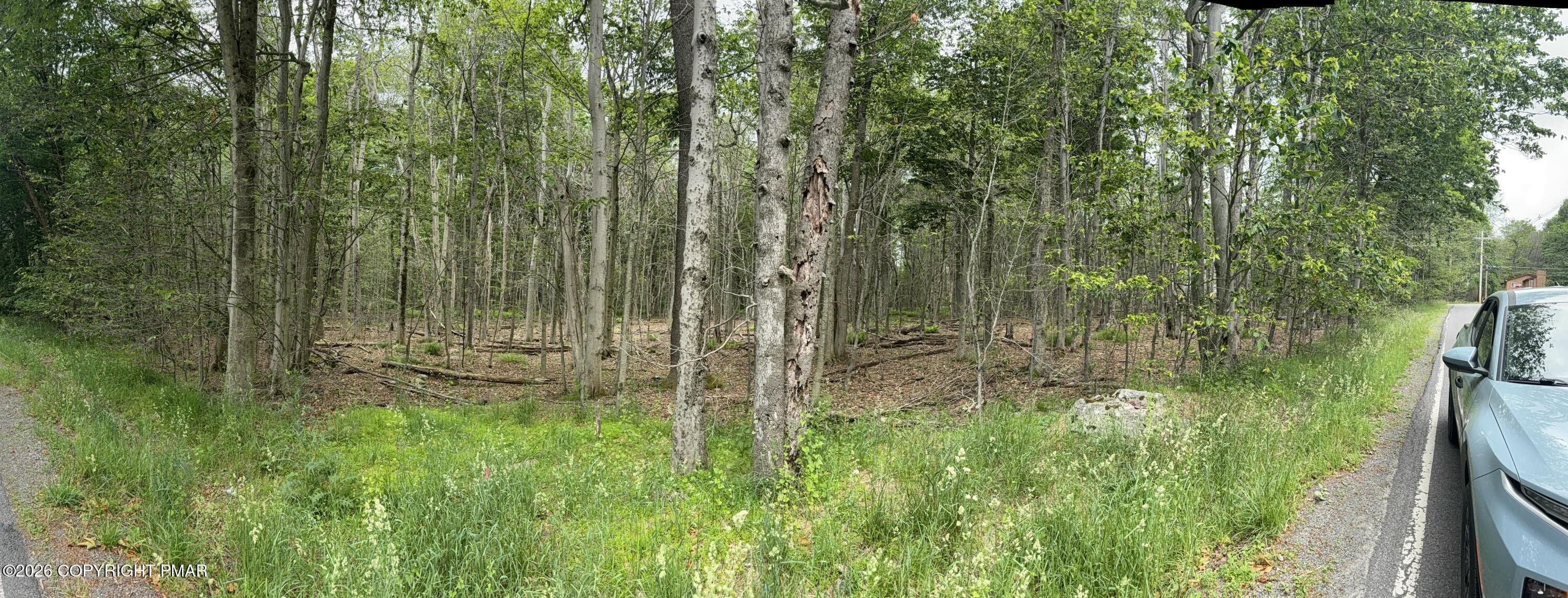 IMG_0033 - 576 NE OF Ne Of T 576, r 12636404528253, Swiftwater, PA 18370, Swiftwater