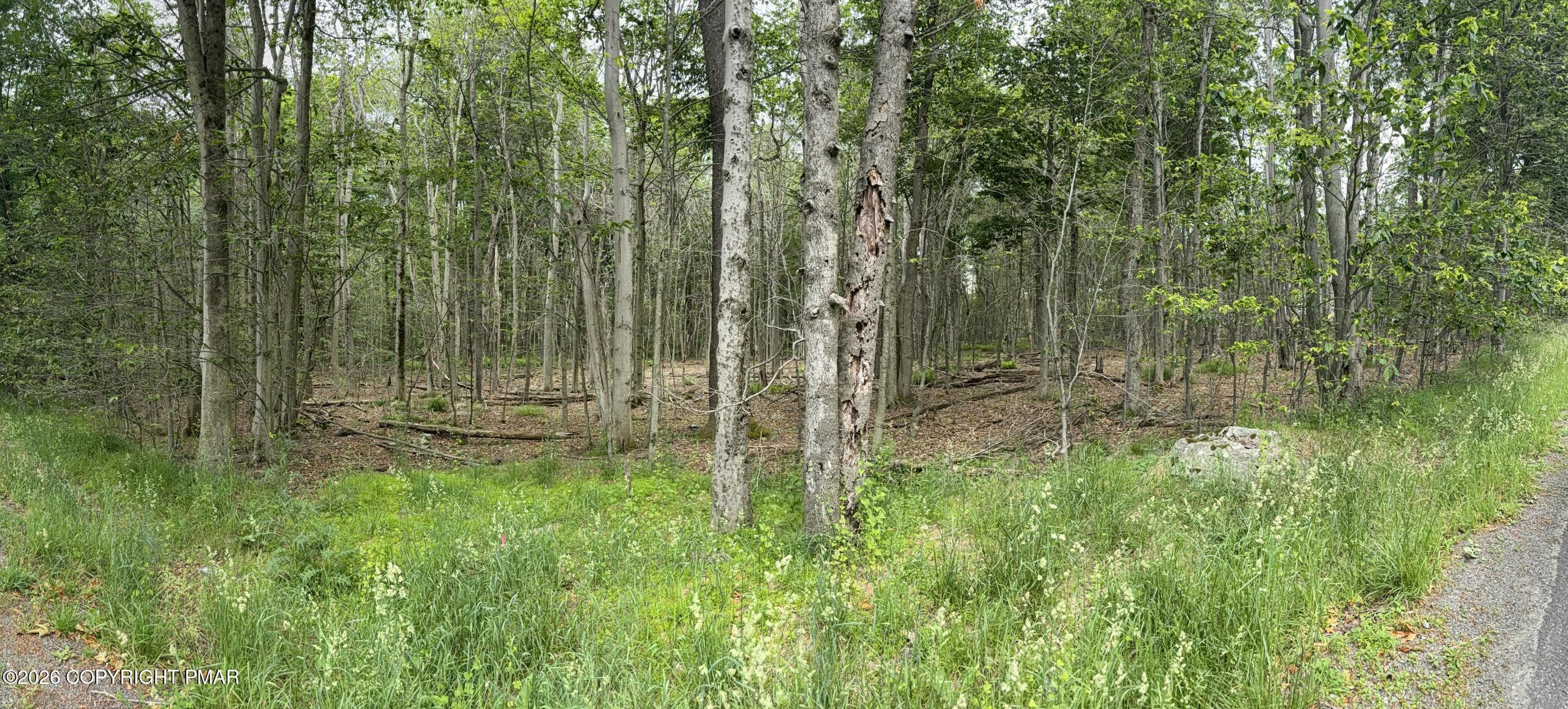 IMG_0034 - 576 NE OF Ne Of T 576, r 12636404528253, Swiftwater, PA 18370, Swiftwater