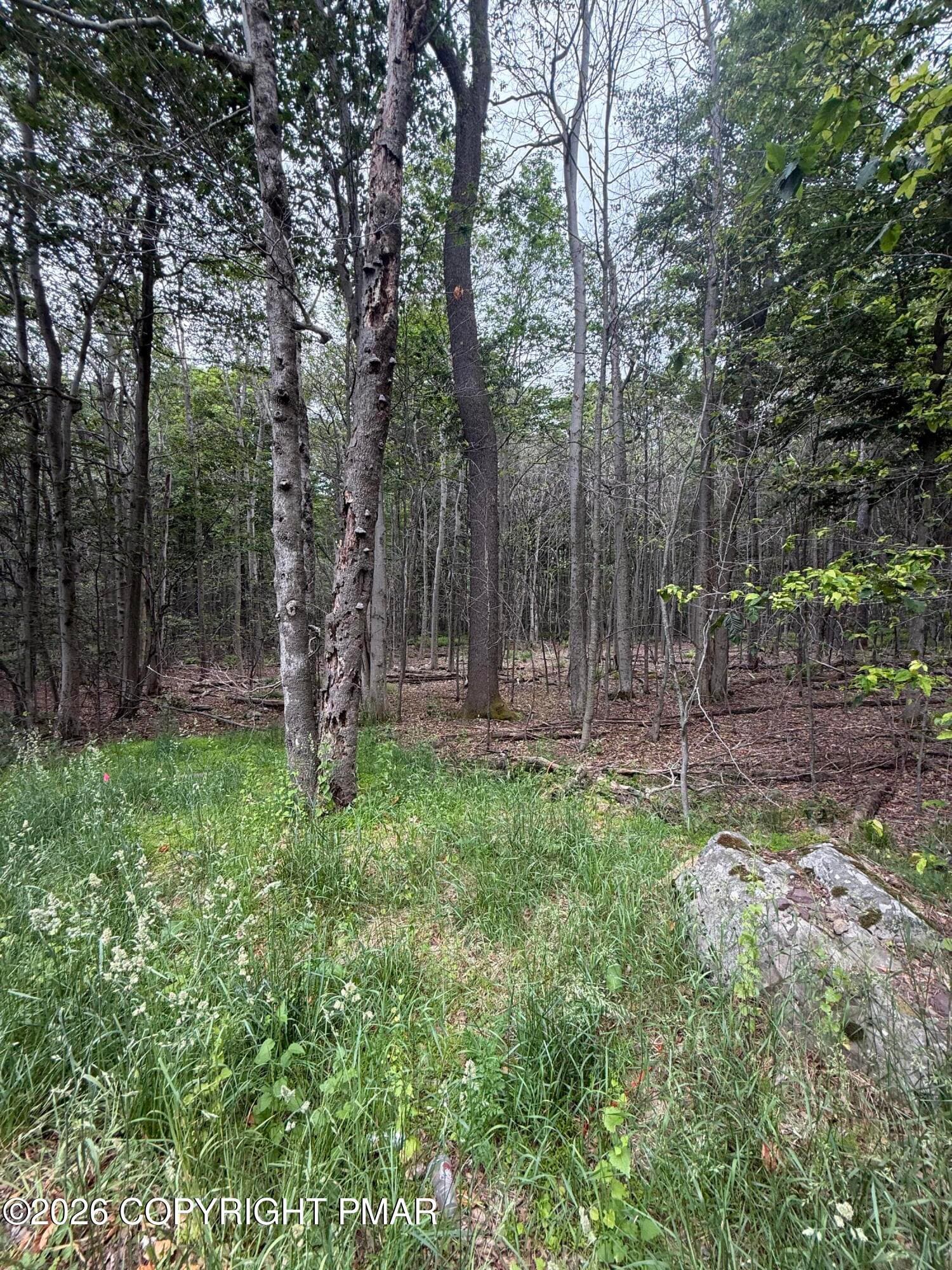 IMG_0028 - 576 NE OF Ne Of T 576, r 12636404528253, Swiftwater, PA 18370, Swiftwater
