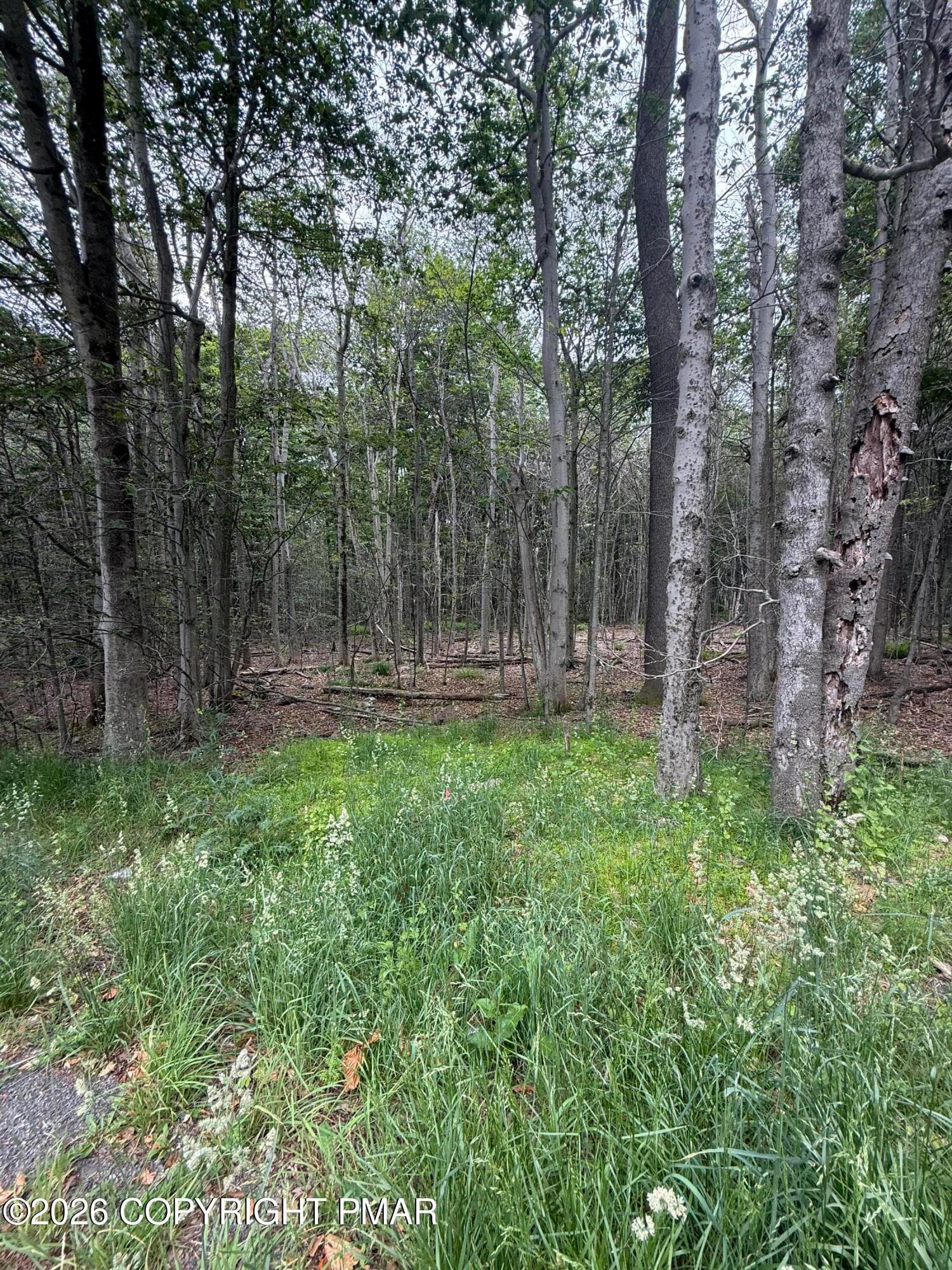IMG_0029 - 576 NE OF Ne Of T 576, r 12636404528253, Swiftwater, PA 18370, Swiftwater