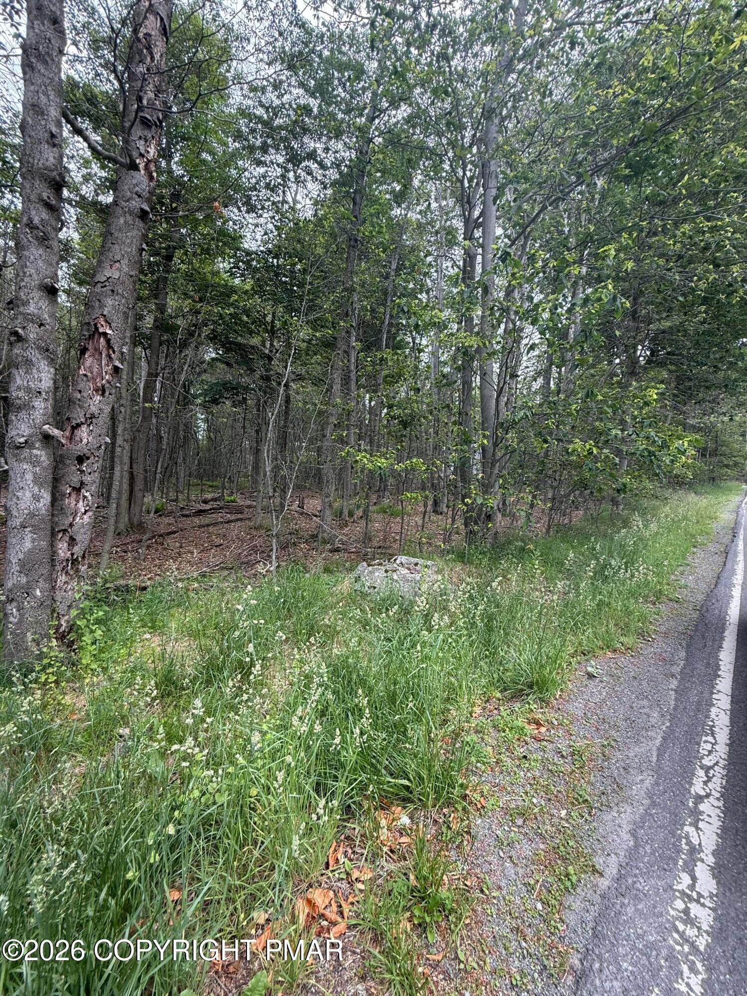 IMG_0031 - 576 NE OF Ne Of T 576, r 12636404528253, Swiftwater, PA 18370, Swiftwater