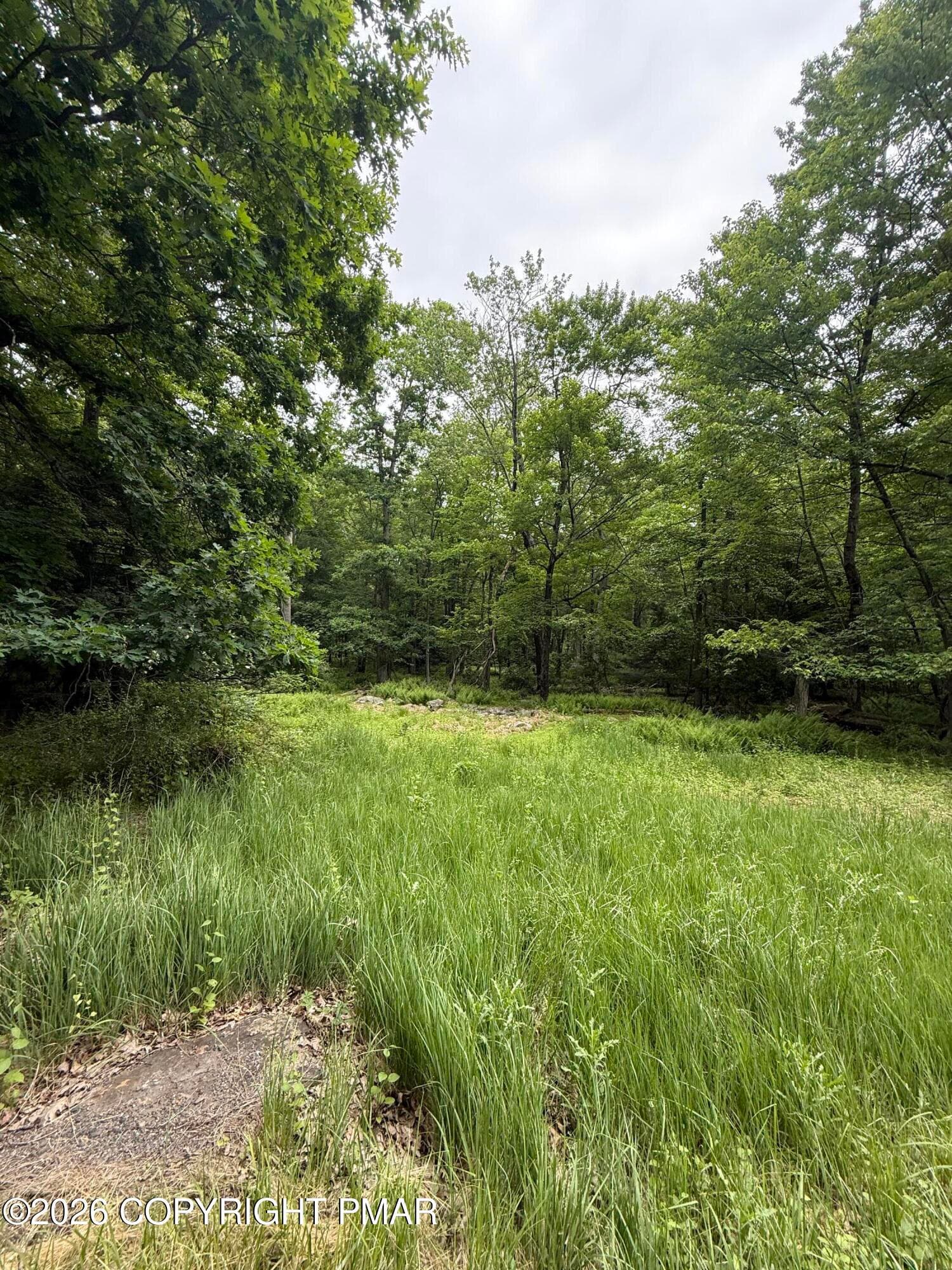IMG_0011 - 576 NE OF Ne Of T 576, r 12636404528253, Swiftwater, PA 18370, Swiftwater