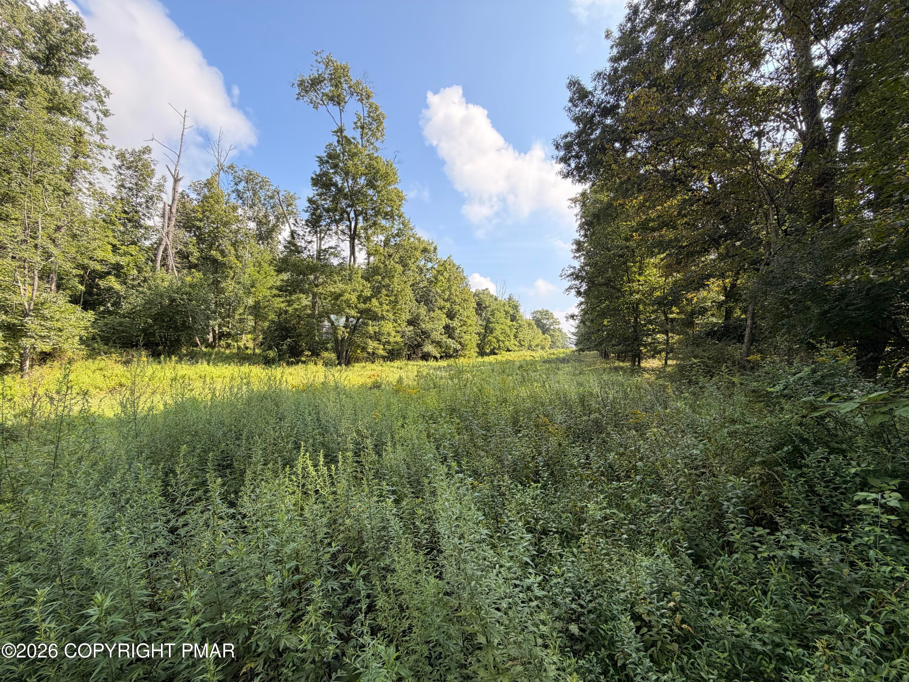 2 - Private Dr 2C Drive, Henryville, PA 18332, Henryville