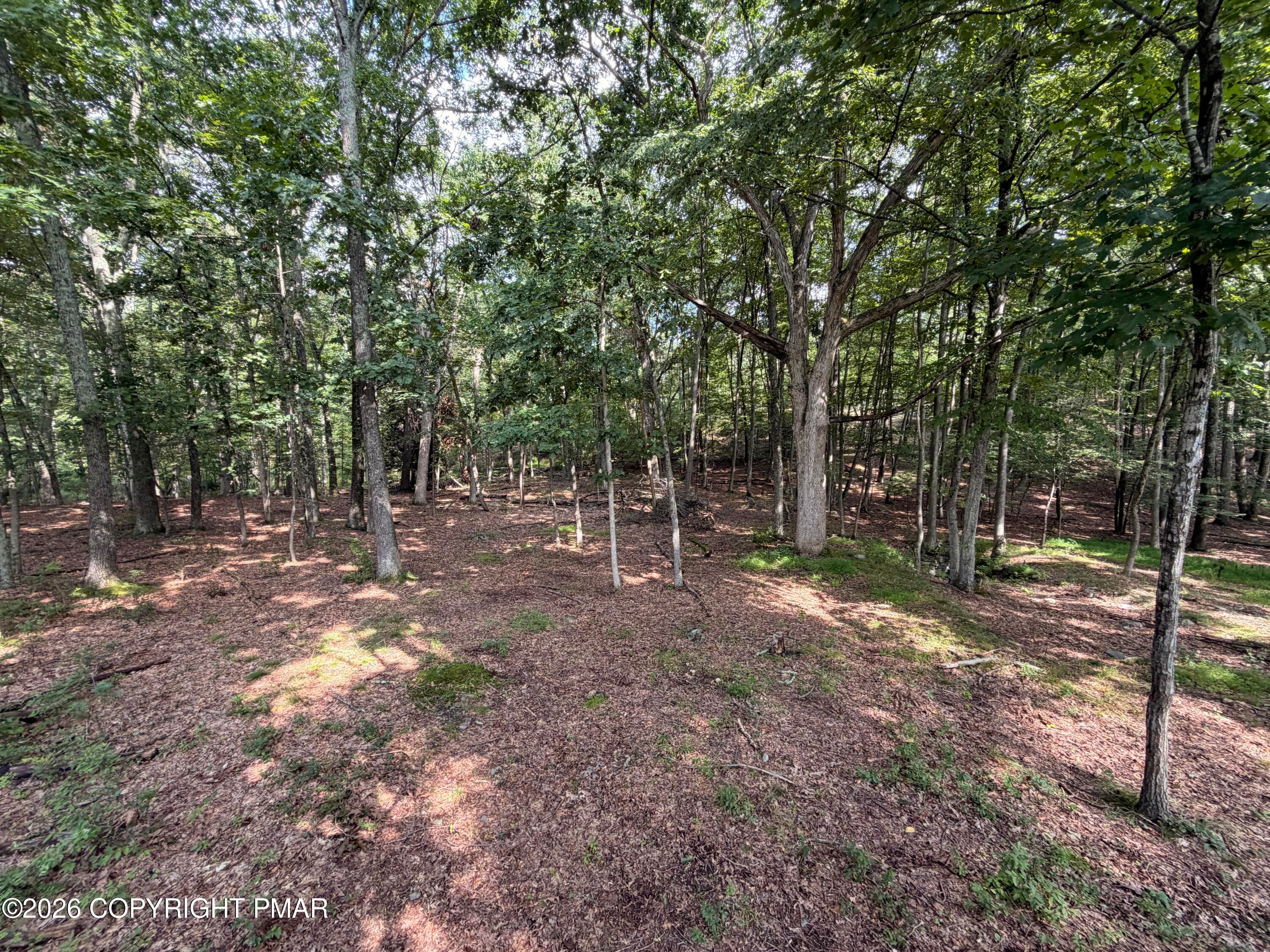 4 - Private Dr 2C Drive, Henryville, PA 18332, Henryville