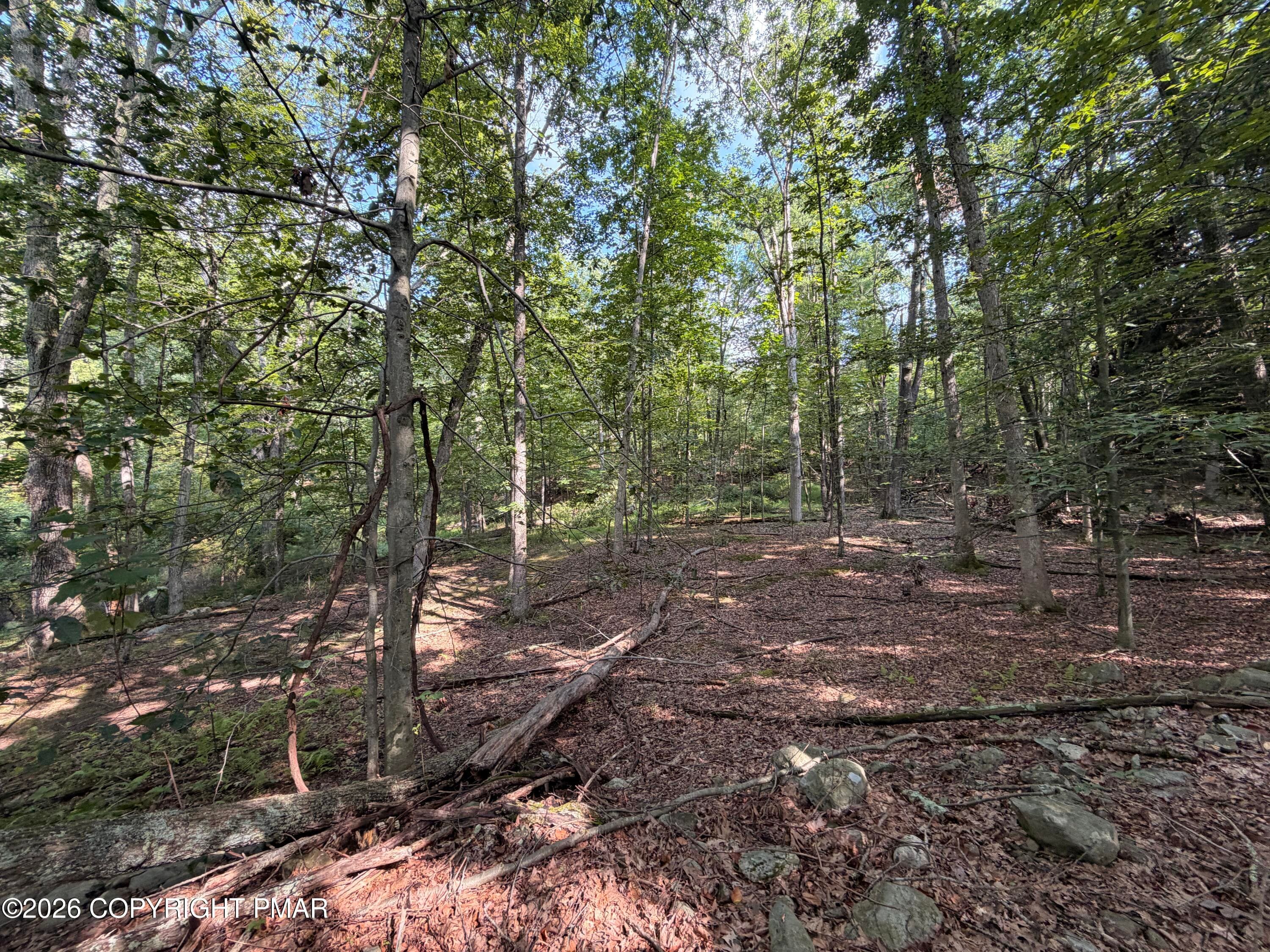 5 - Private Dr 2C Drive, Henryville, PA 18332, Henryville