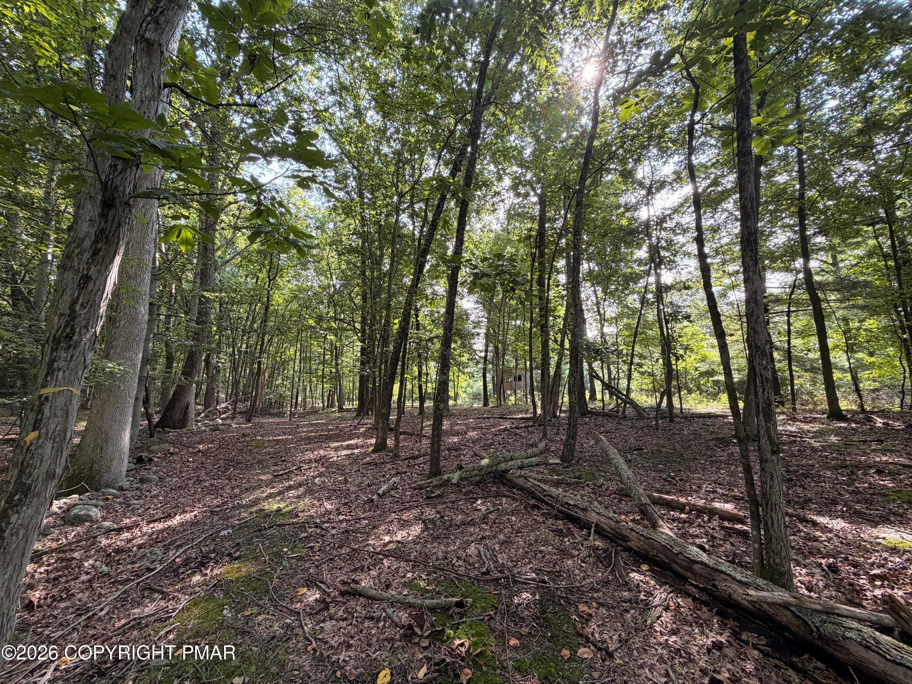 6 - Private Dr 2C Drive, Henryville, PA 18332, Henryville