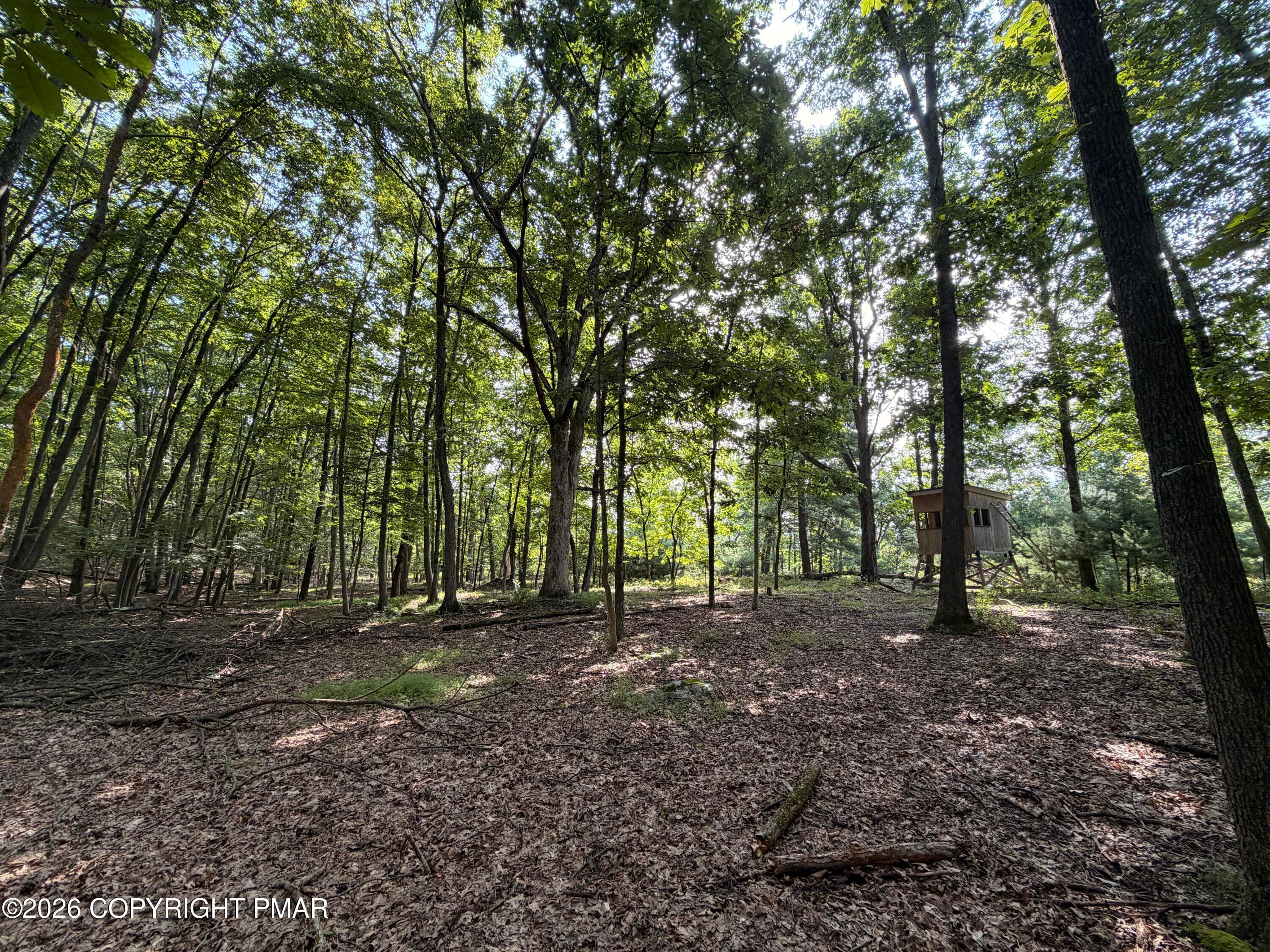 7 - Private Dr 2C Drive, Henryville, PA 18332, Henryville