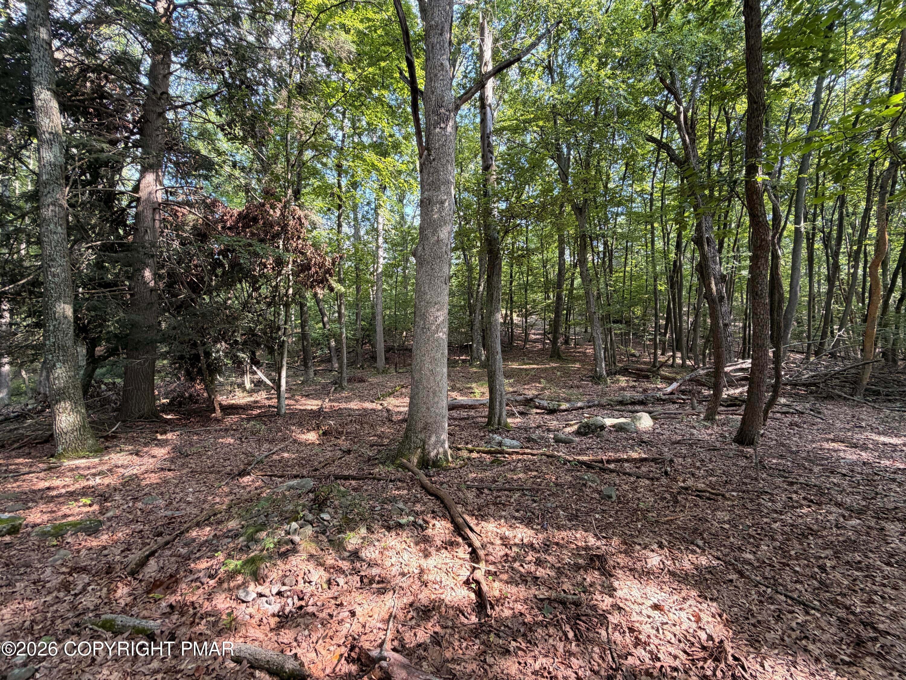 10 - Private Dr 2C Drive, Henryville, PA 18332, Henryville