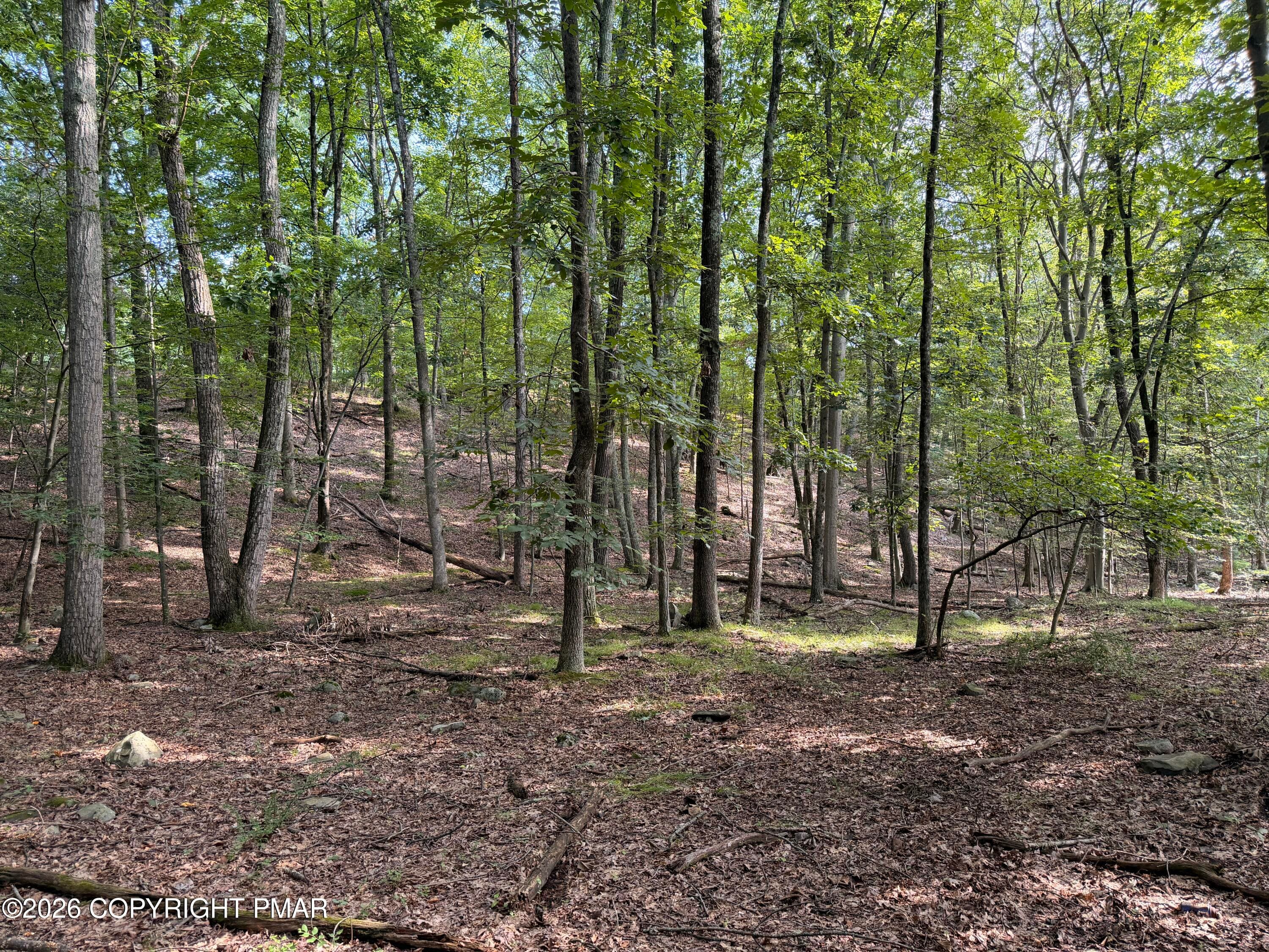 11 - Private Dr 2C Drive, Henryville, PA 18332, Henryville