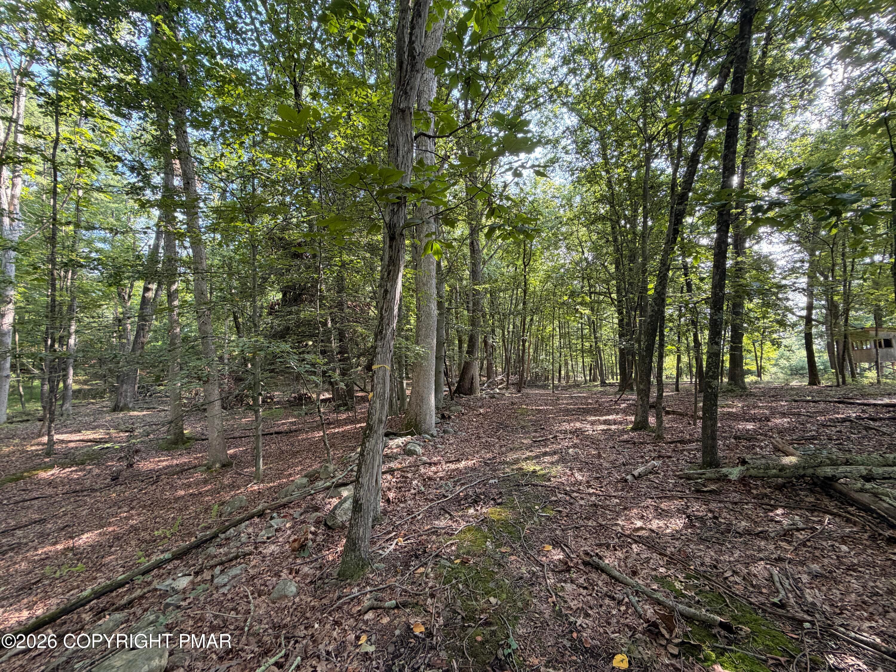 12 - Private Dr 2C Drive, Henryville, PA 18332, Henryville
