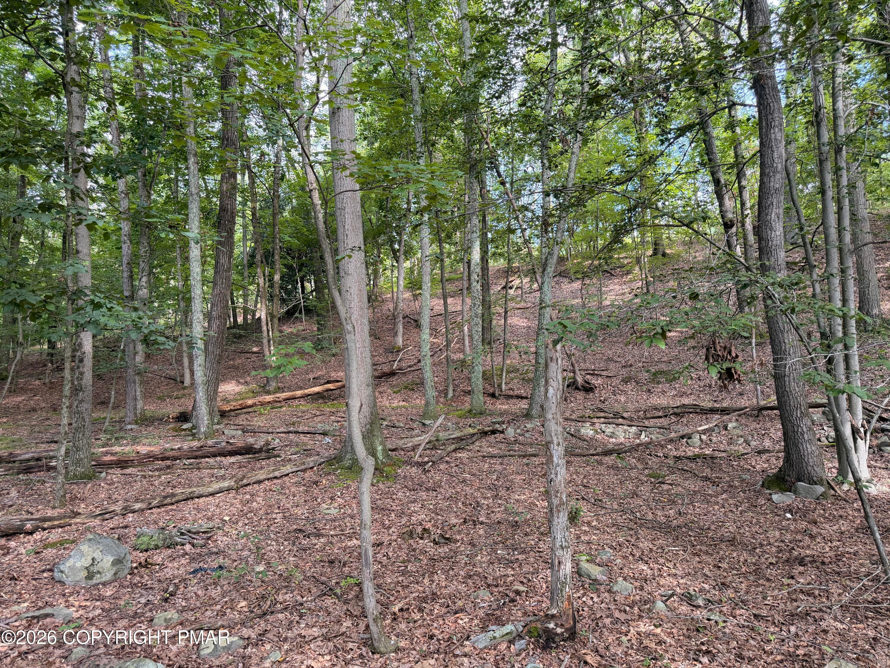 14 - Private Dr 2C Drive, Henryville, PA 18332, Henryville