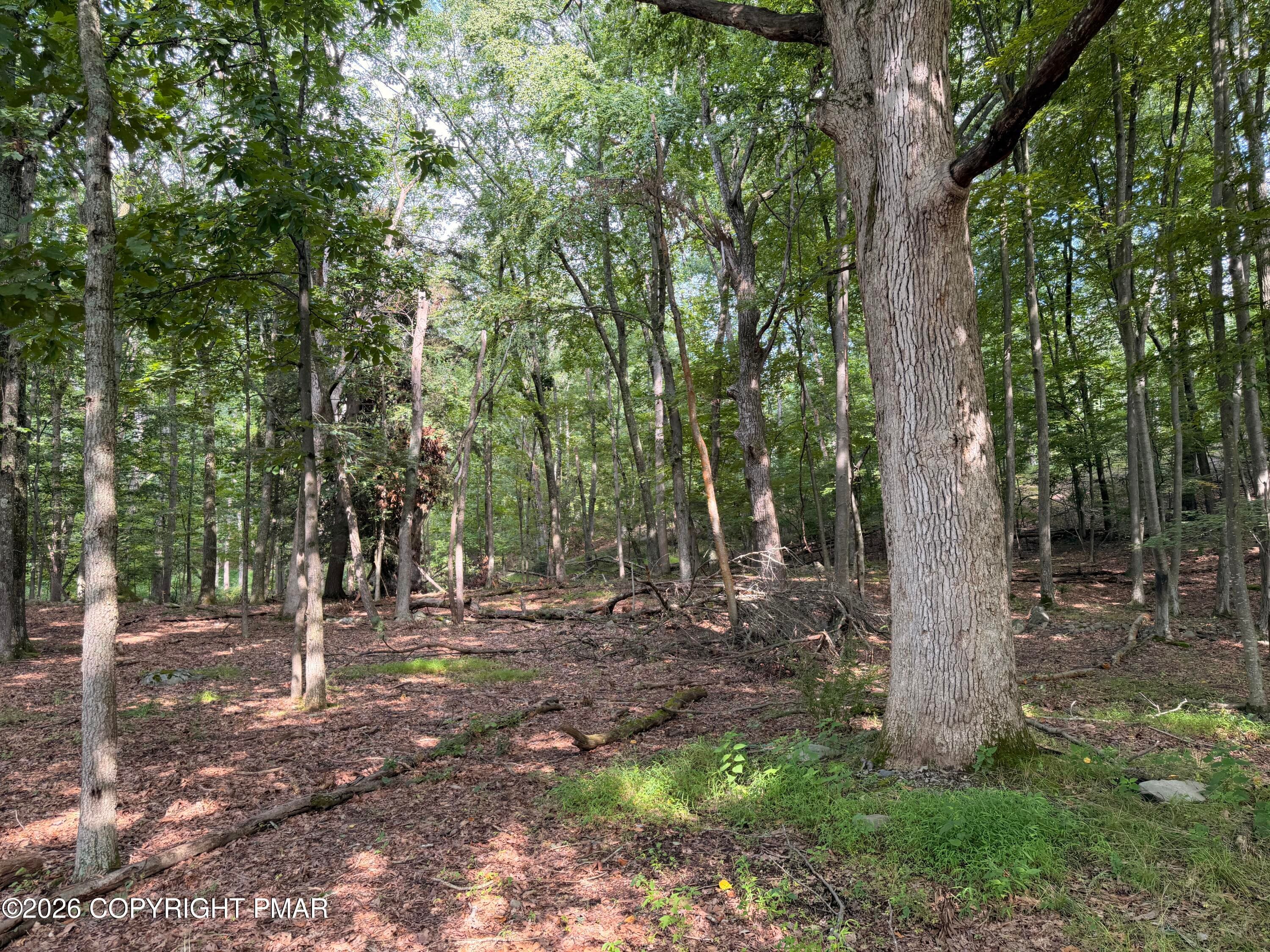 15 - Private Dr 2C Drive, Henryville, PA 18332, Henryville