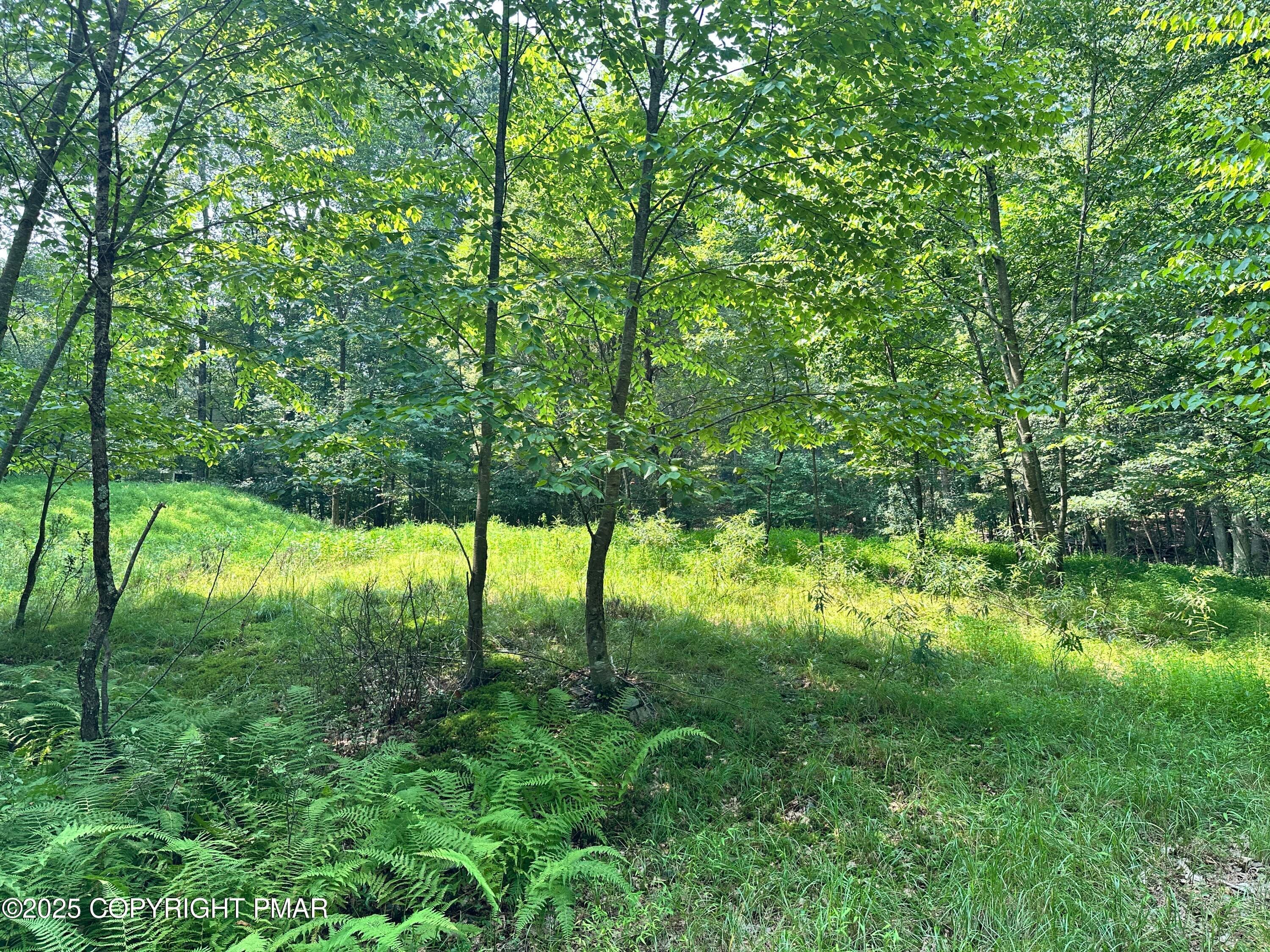 IMG_5899 - Timber Hill Rd 3C, Henryville, PA 18332, Henryville