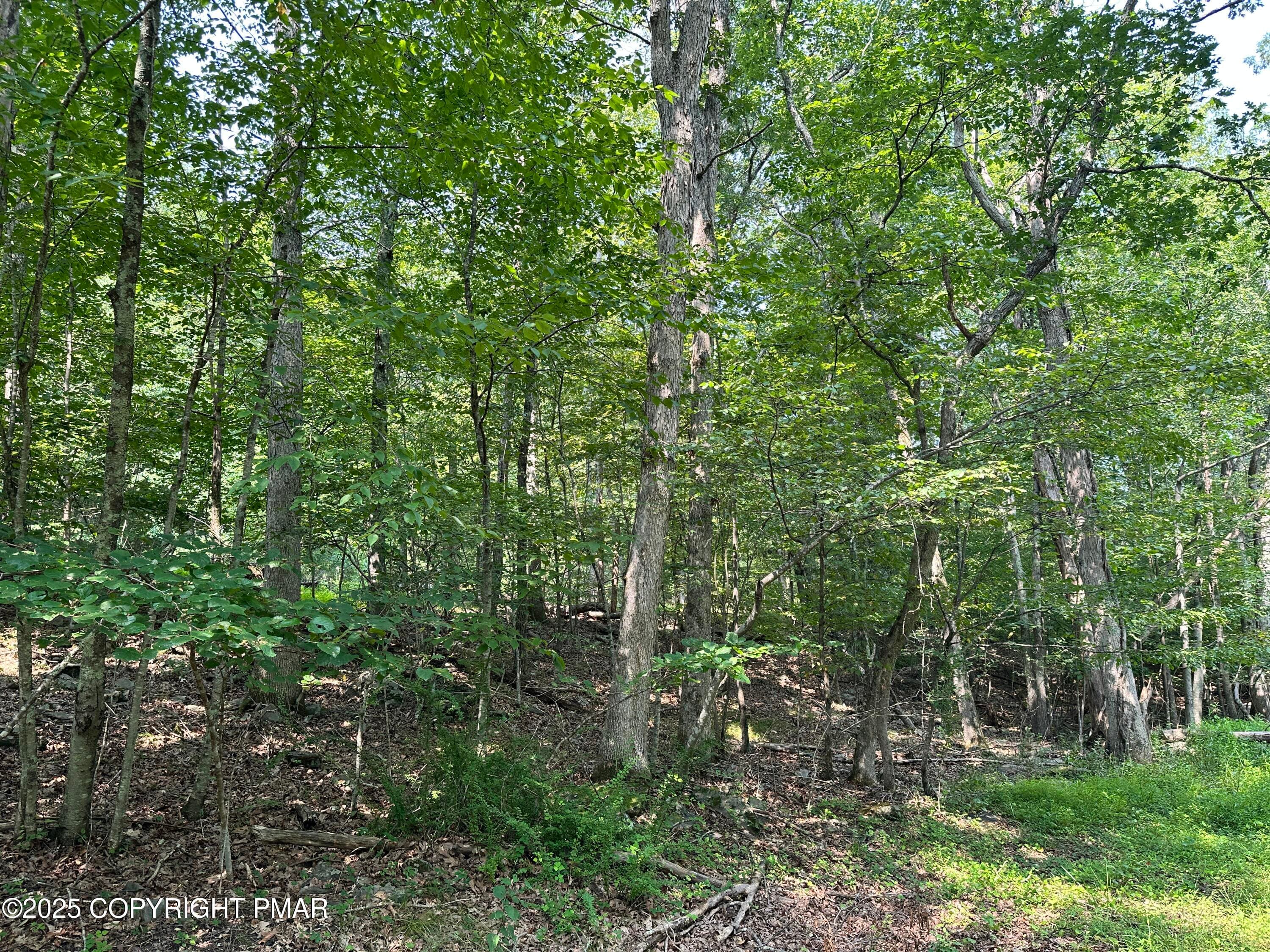 IMG_5900 - Timber Hill Rd 3C, Henryville, PA 18332, Henryville