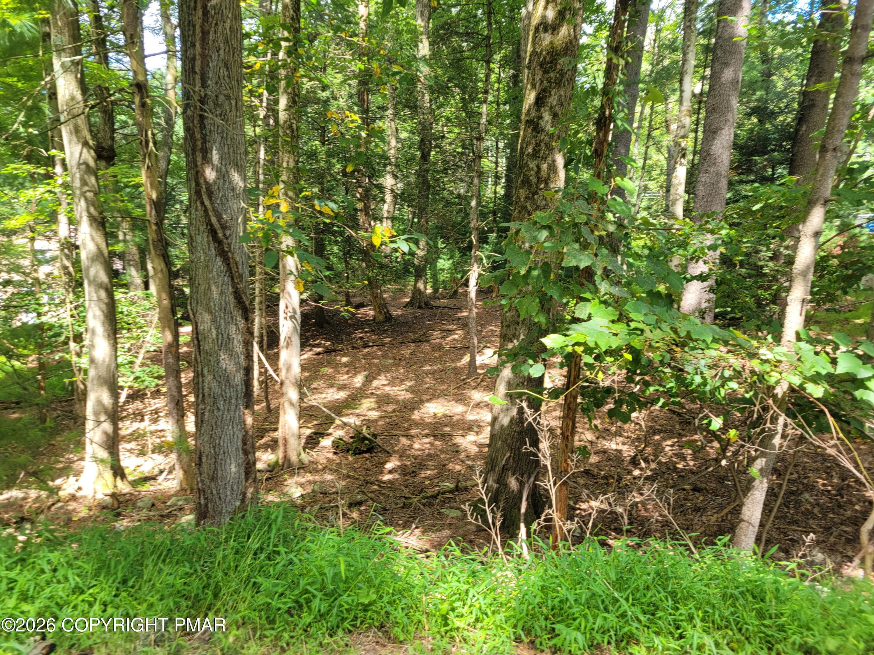 Sawdust Road - Lot 316 Sherwood Forest Road, Saylorsburg, PA 18353, Saylorsburg