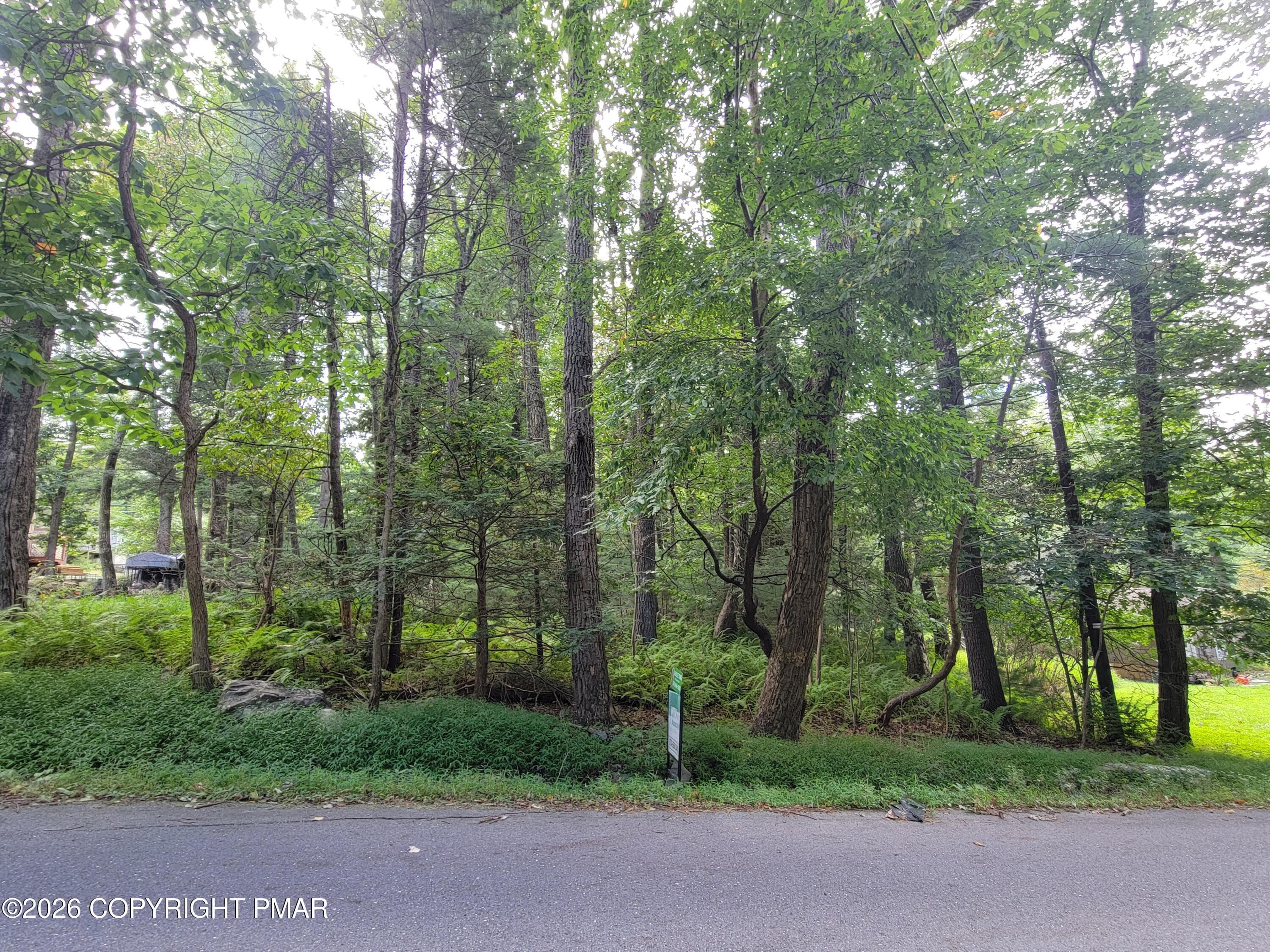 Sherwood Forest Rd - Lot 316 Sherwood Forest Road, Saylorsburg, PA 18353, Saylorsburg