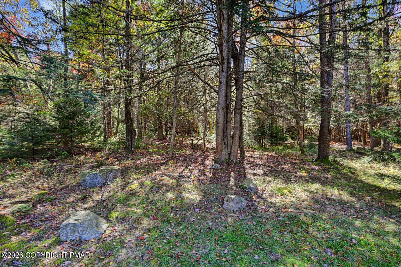 Privacy Surrounds the Property - 2354 Forest Drive W, Pocono Lake, PA 18347