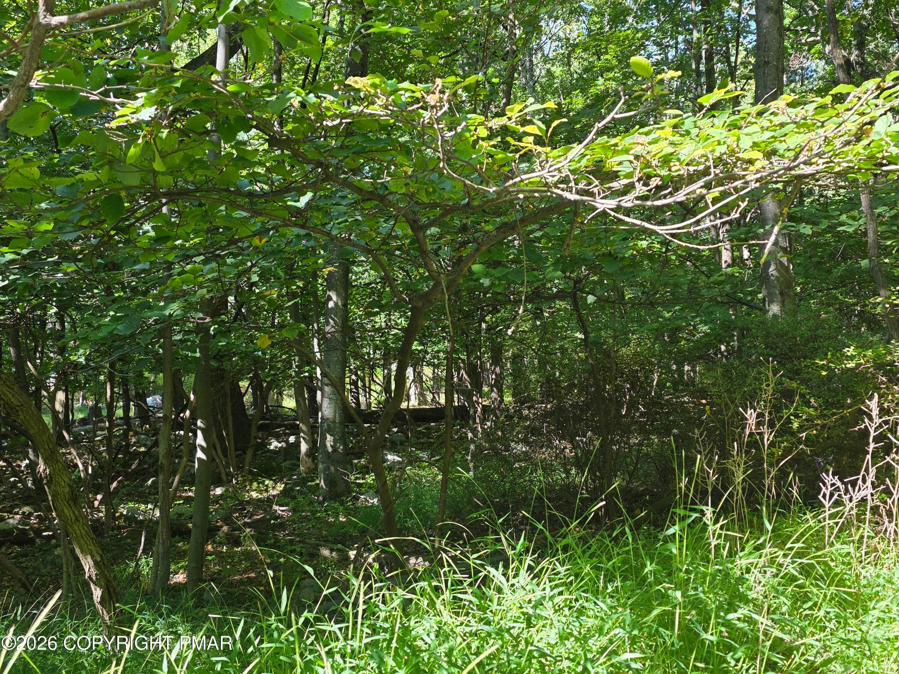 20260924_110255 - 421 Donalds Road, Effort, PA 18330